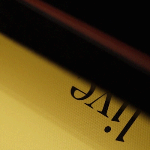 Blanket Statement Grab Bag - video / campaign