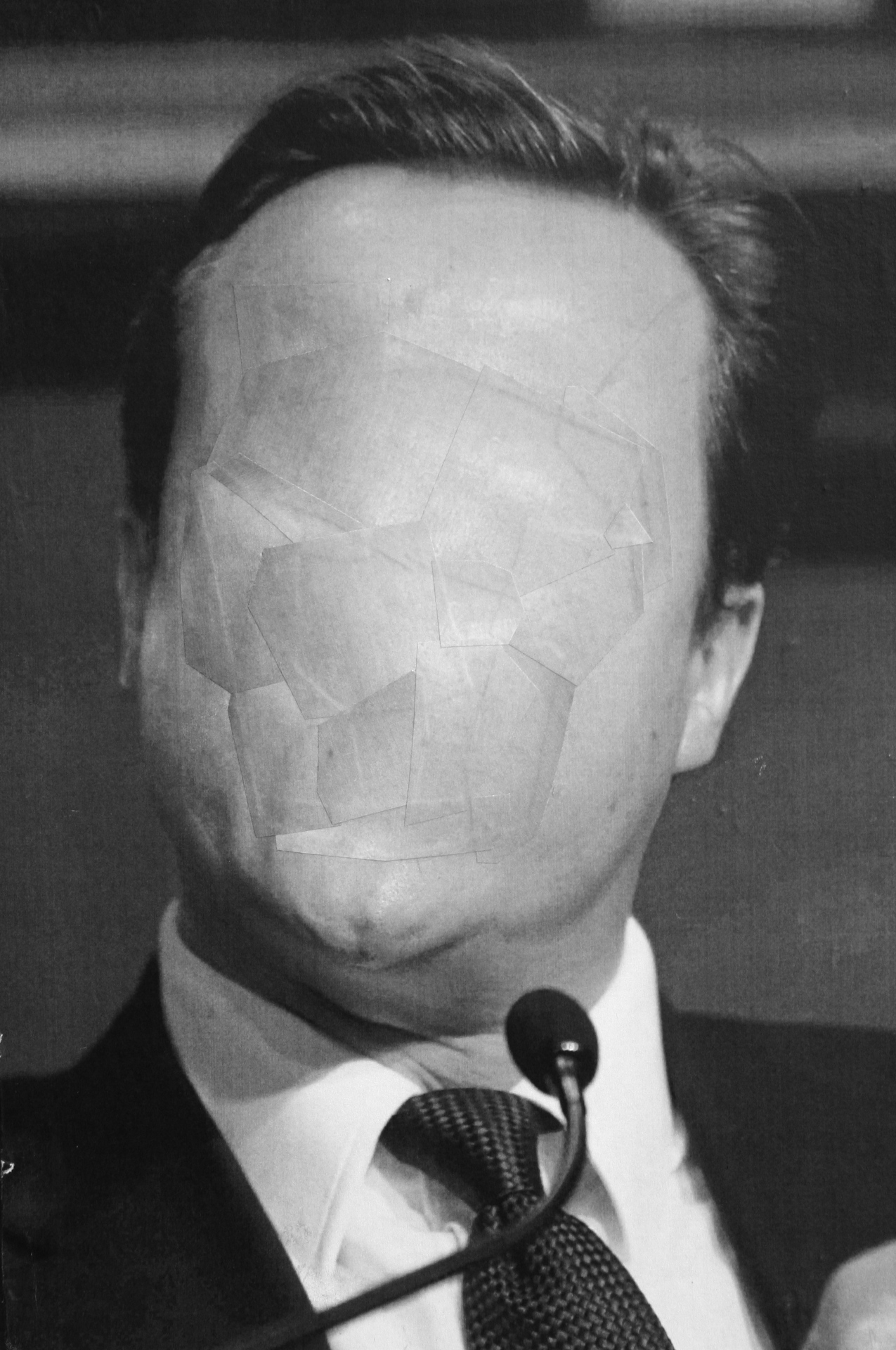 David Cameron 2, 2010