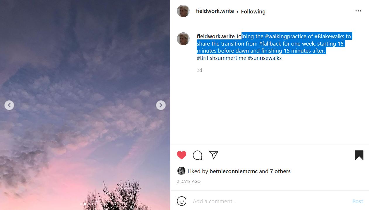 Instagram post by @fieldwork.write. A pink sky of clouds turning into blue and purple. a single bit of tree can be seen above. The text reads: "fieldwork.write Joining the #walkingpractice of #Blakewalks to share the transition from #fallback for one week, starting 15 minutes before dawn and finishing 15 minutes after. #Britishsummertime #sunrisewalks"