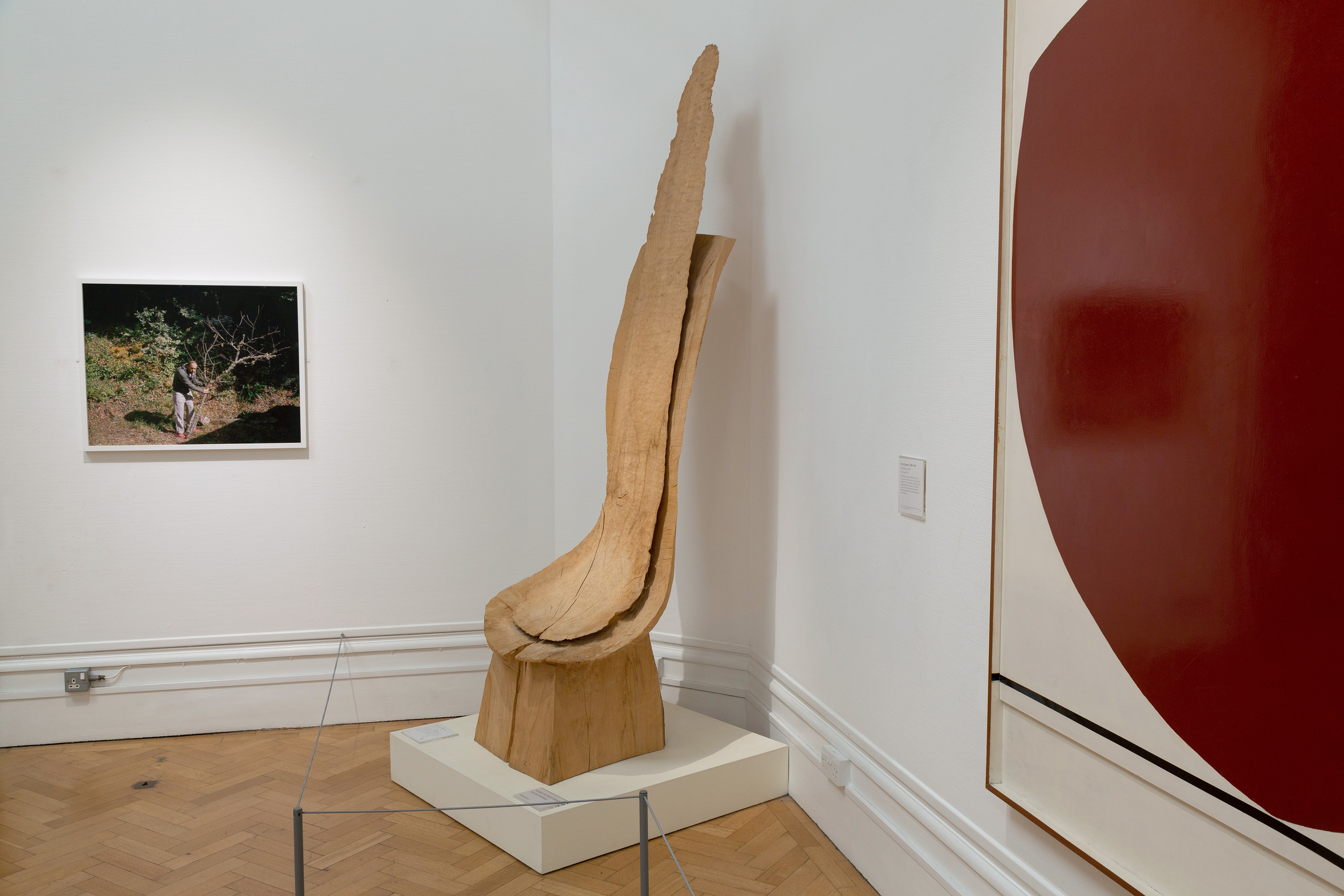 Beyond the Frame, ’Craving Gaps’. Interventions at Bristol Museum & Art Gallery. Bristol Photo Festival 2020