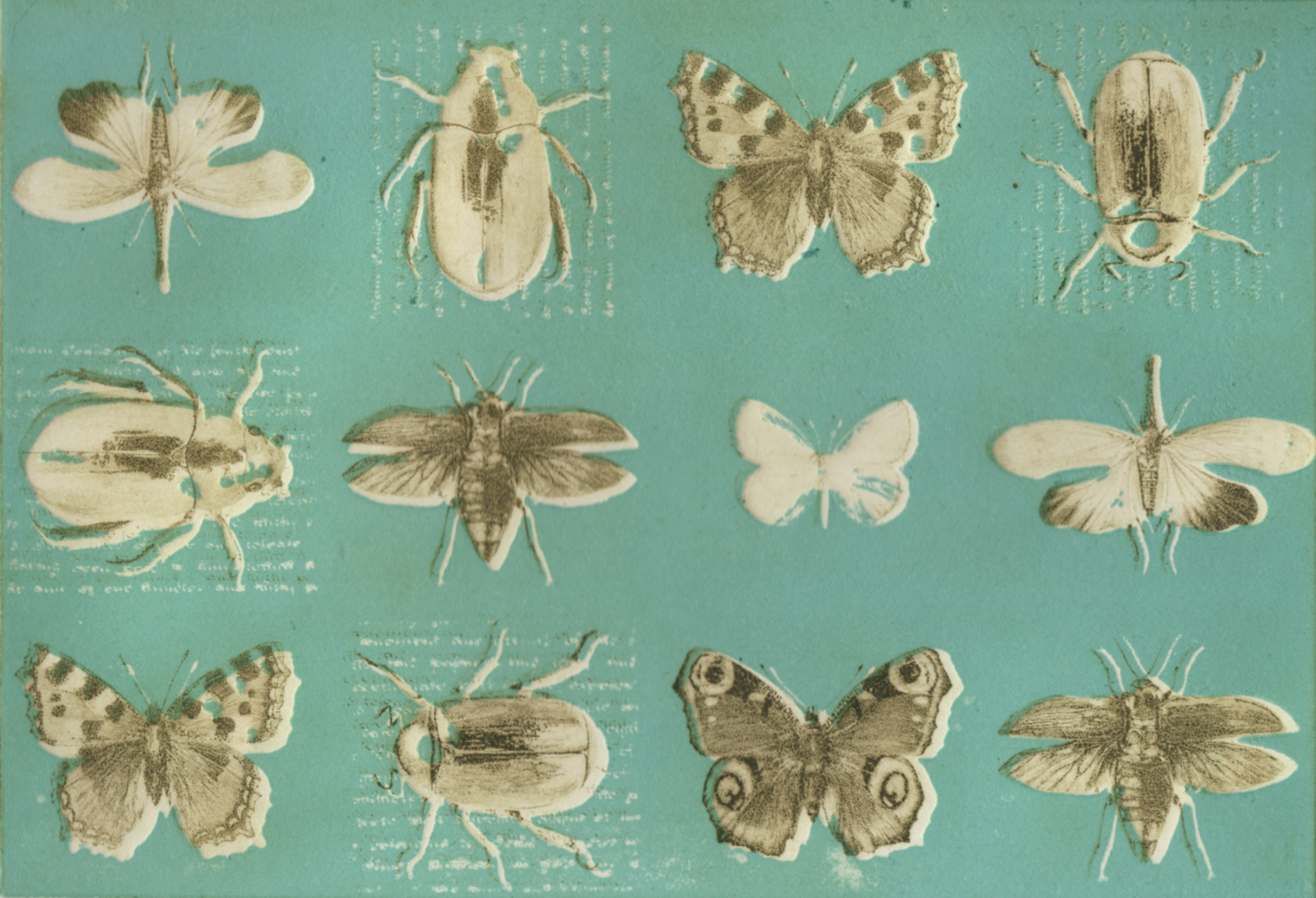 From the collection 1