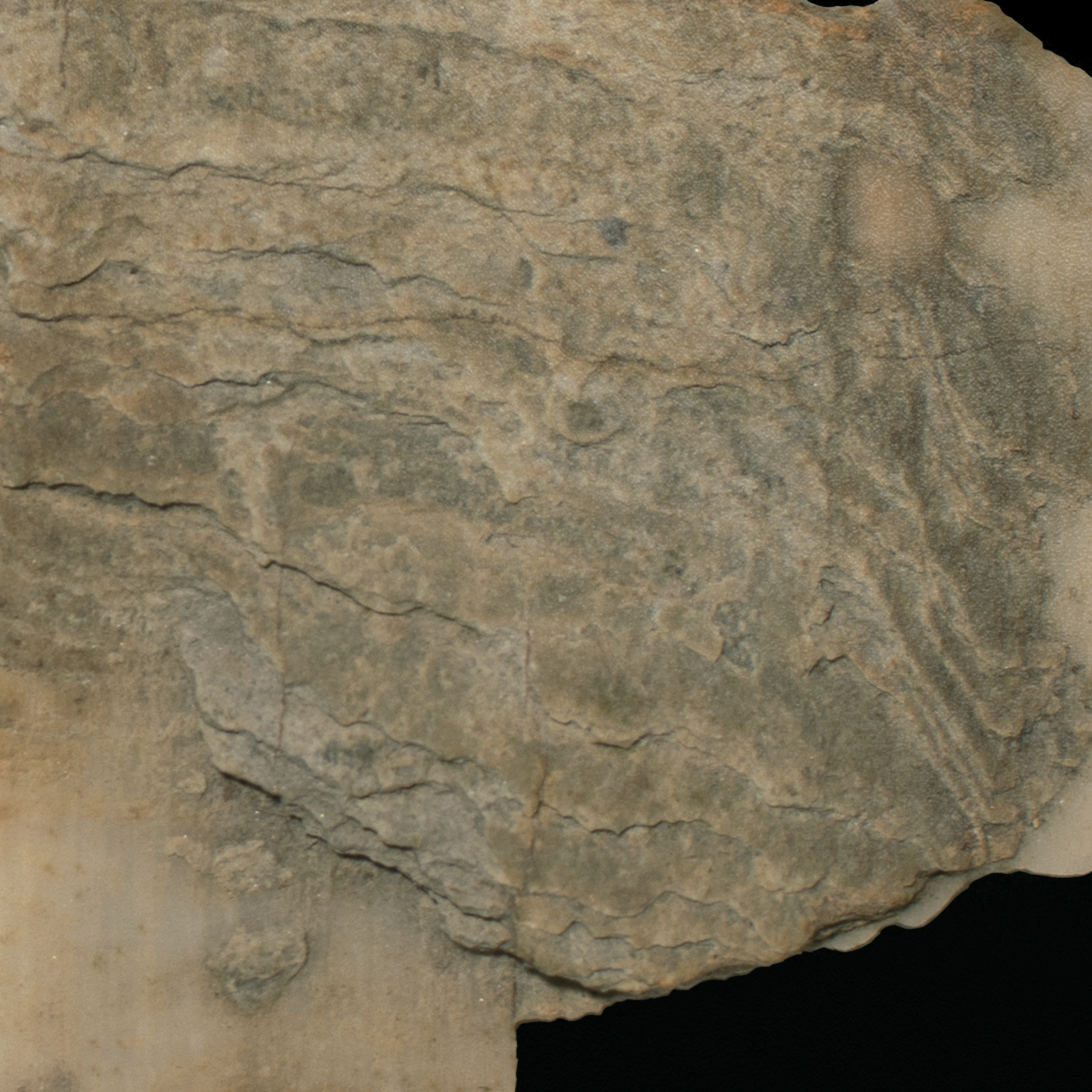 VVAA - United We Stand (2022)