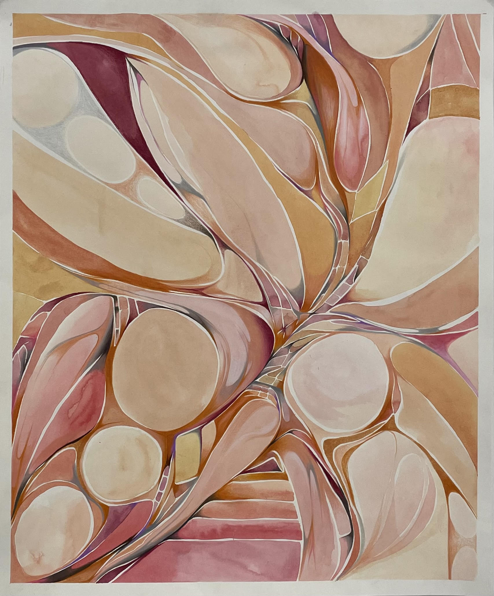 Peeled, Ink & Colored Pencil, 2024