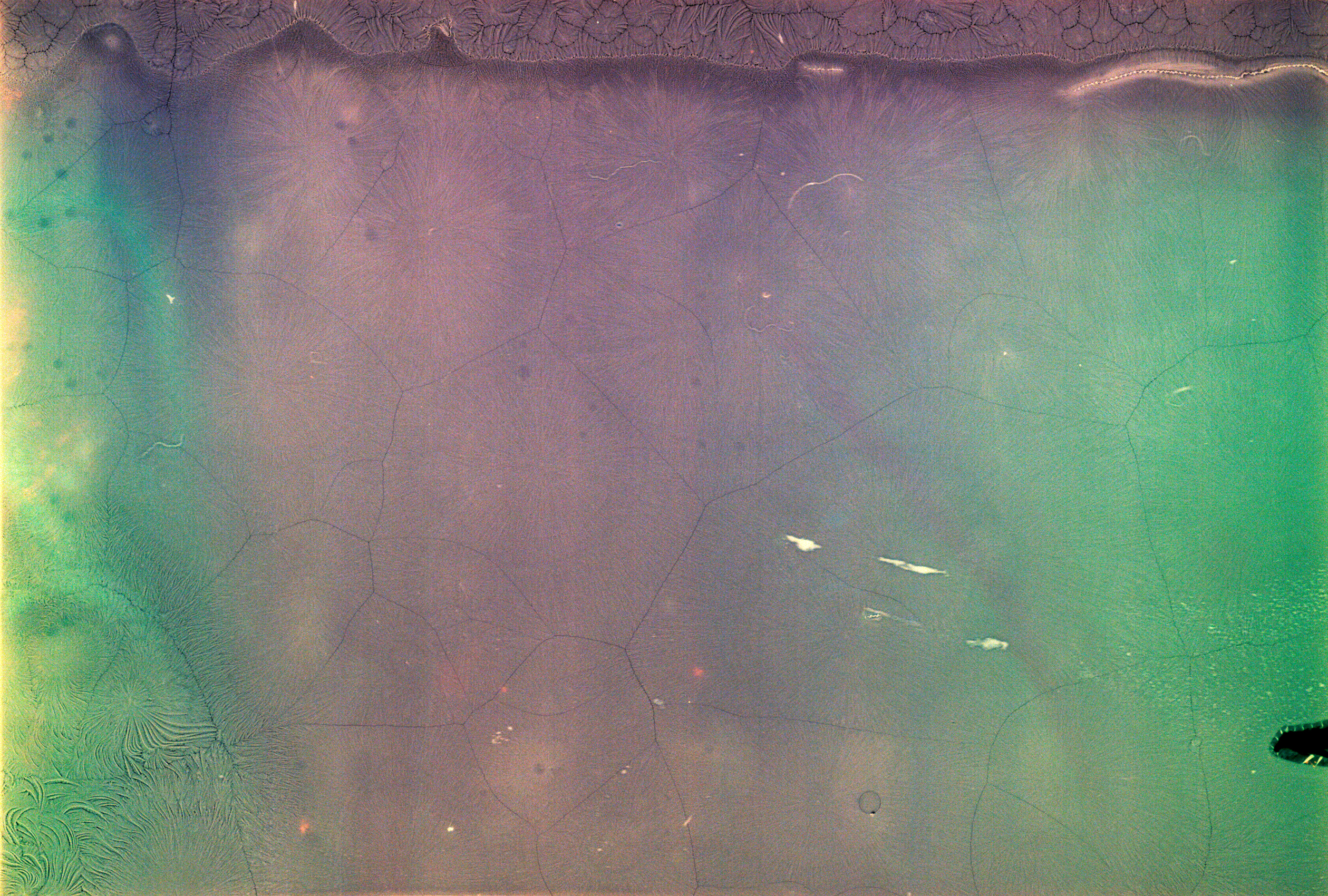30x45cm, Diasec, 2020