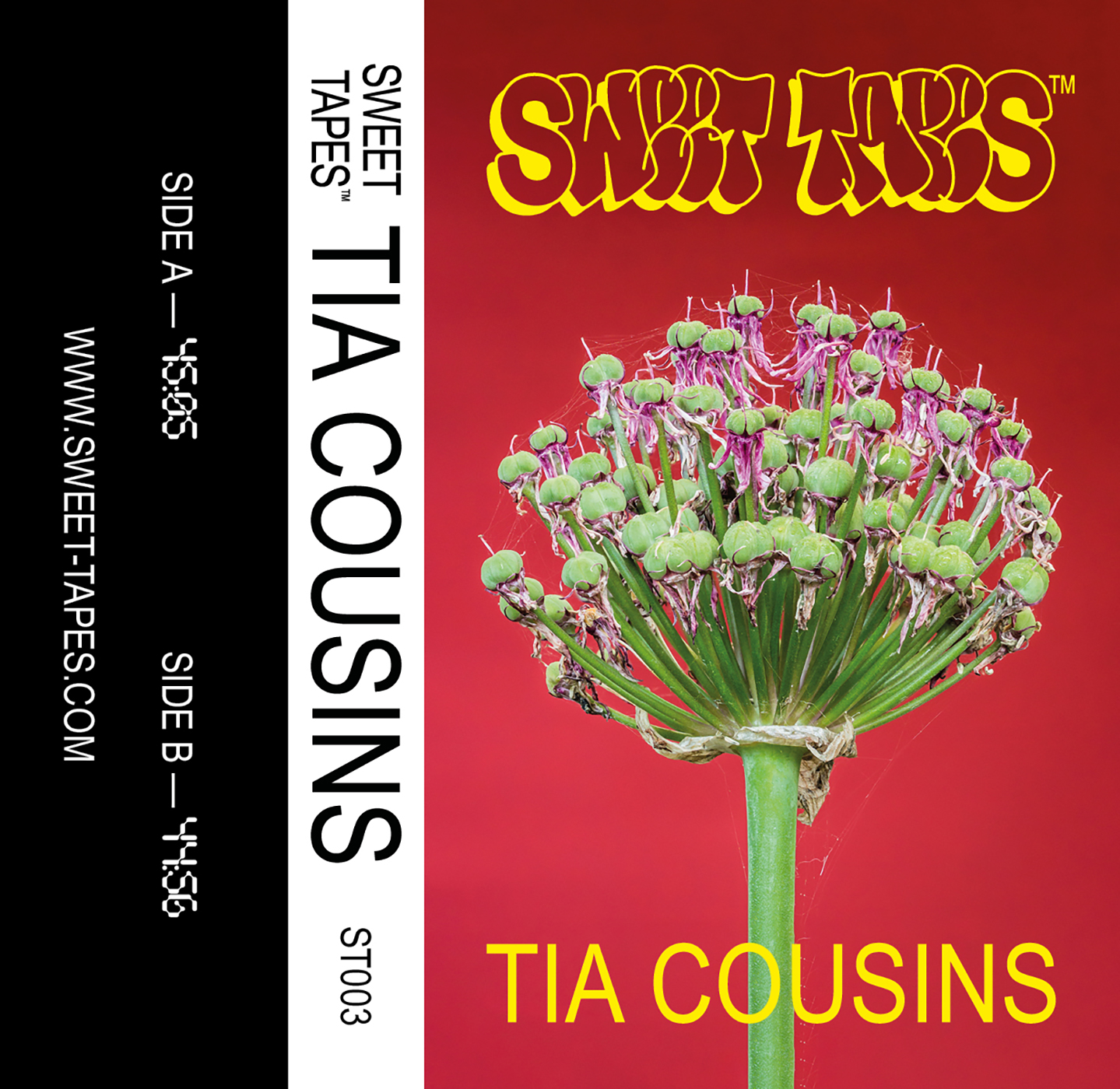 ST003 — TIA COUSINS