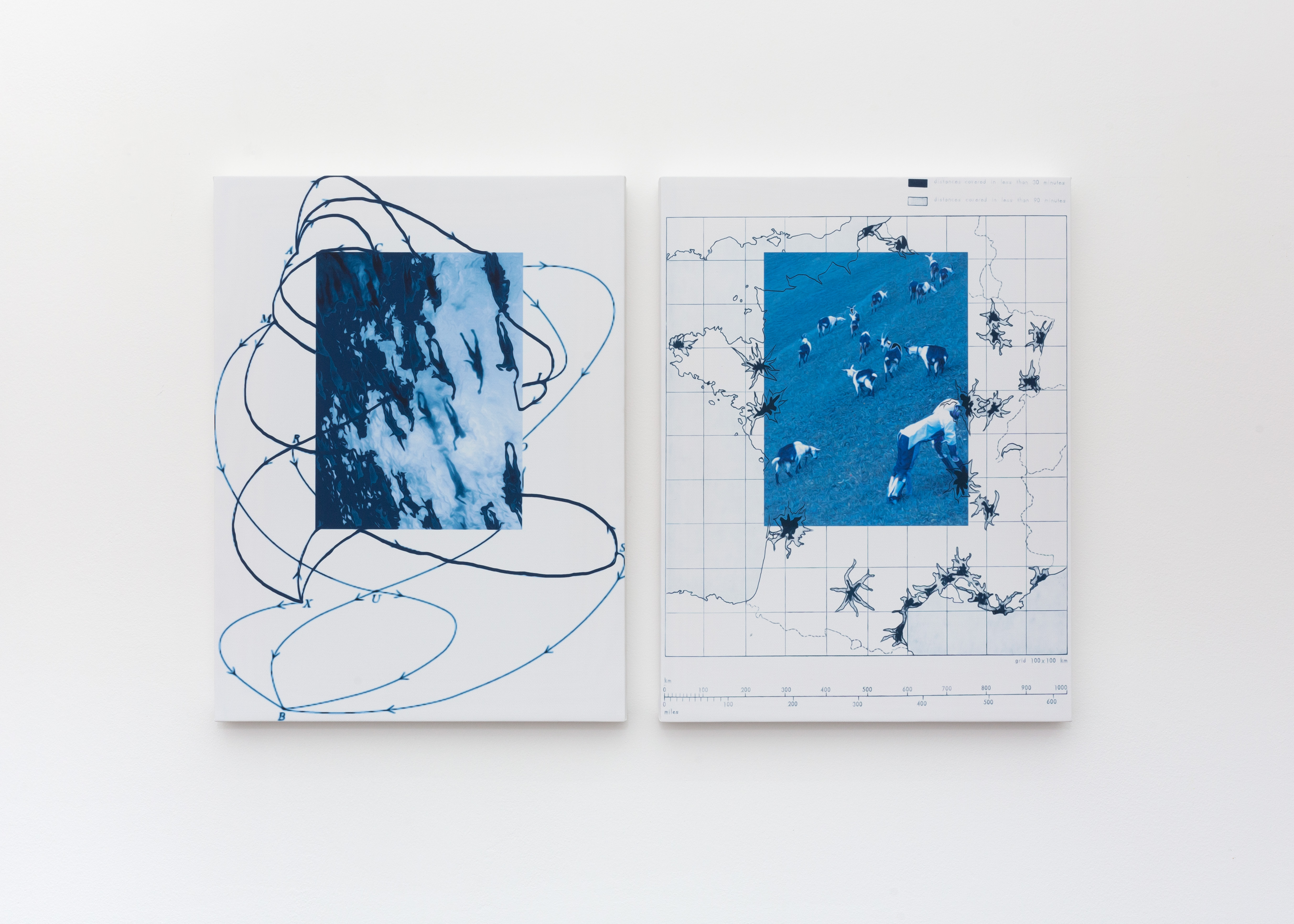 Seren Metcalfe, Fish Interlude Diptych 1, 2022, Printed Canvas, 40 x 30 cm (each), (SM-010322)