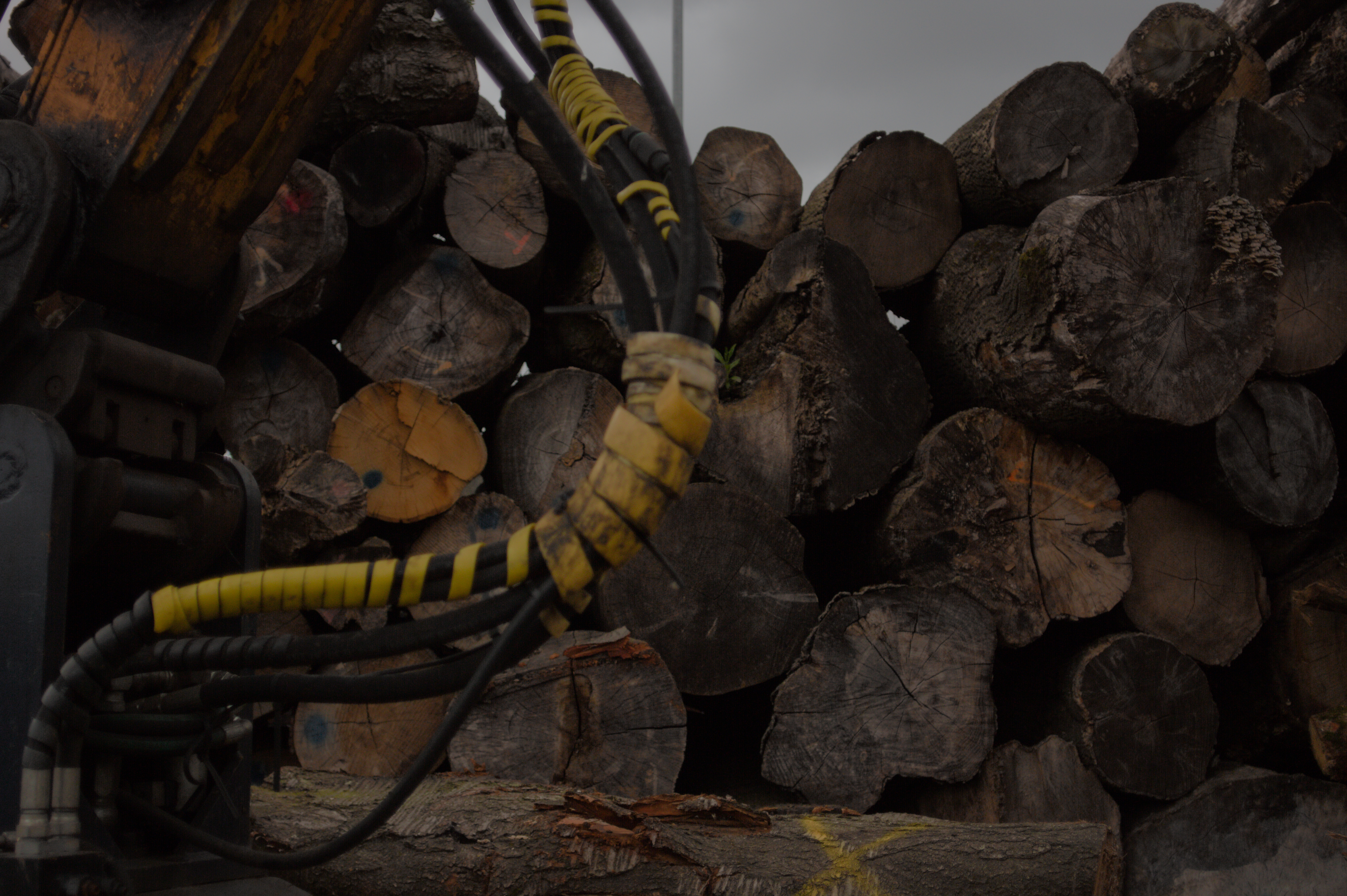 She tells me my name and commands me not to stop