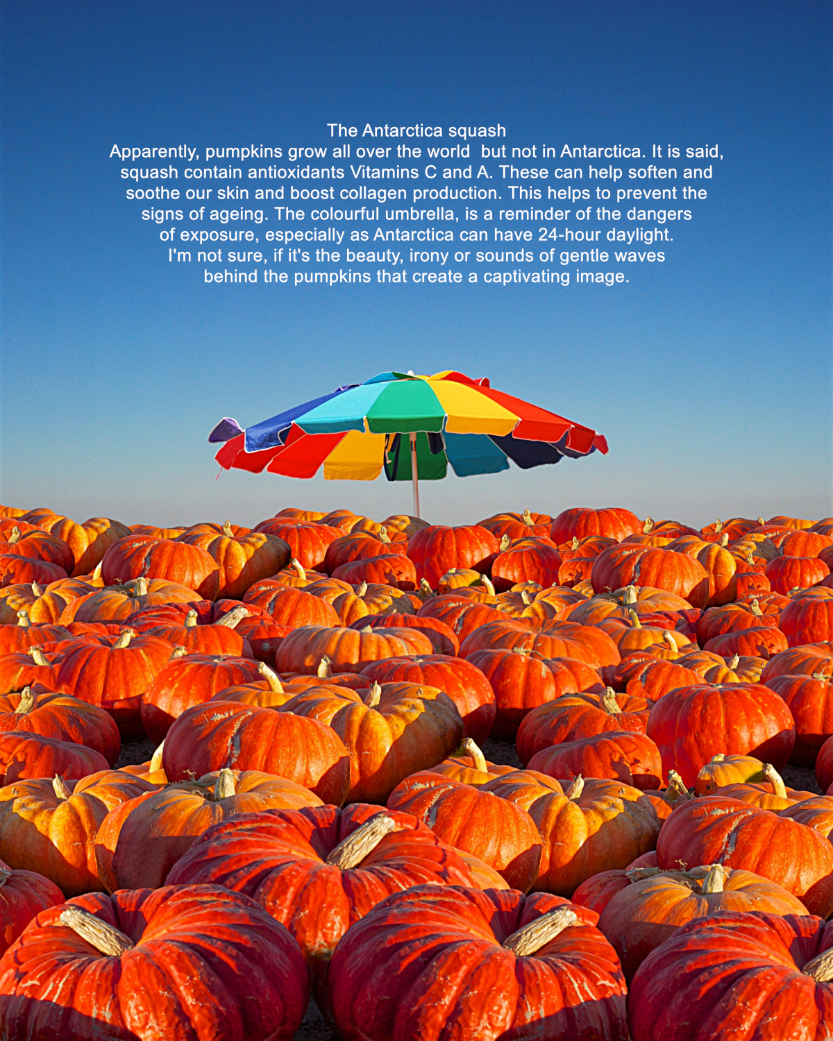 The Antarctica squash