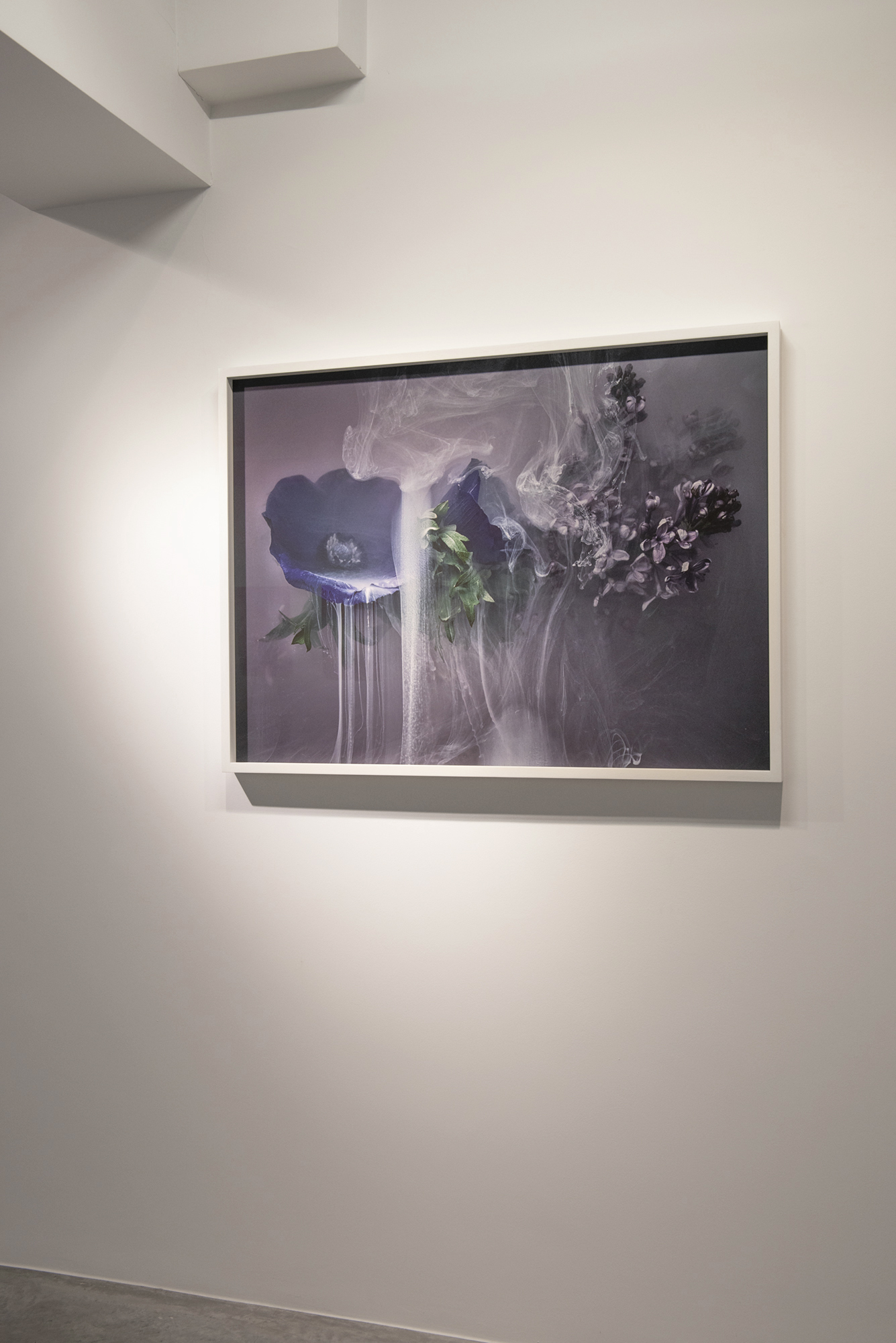 Solo exhibition Rasson Gallery, Belgium 2019