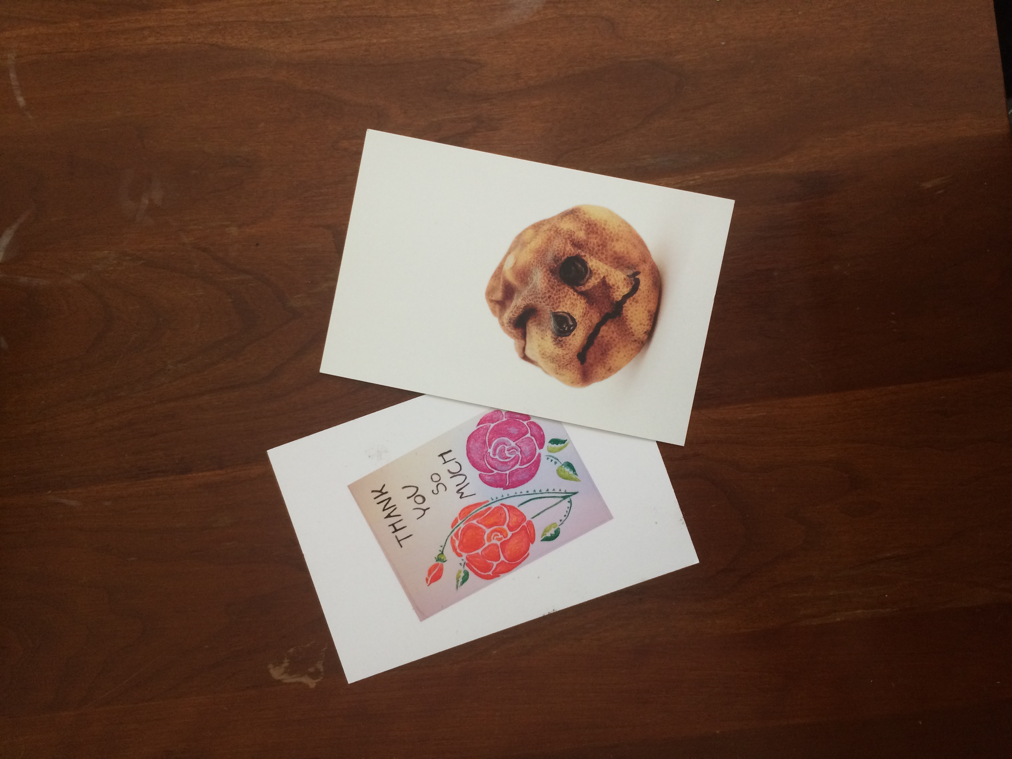 Left Anna's card and Kristi Lippire's card with Allison Schifani in Cleveland, OH after she let me stay with her on my trip.