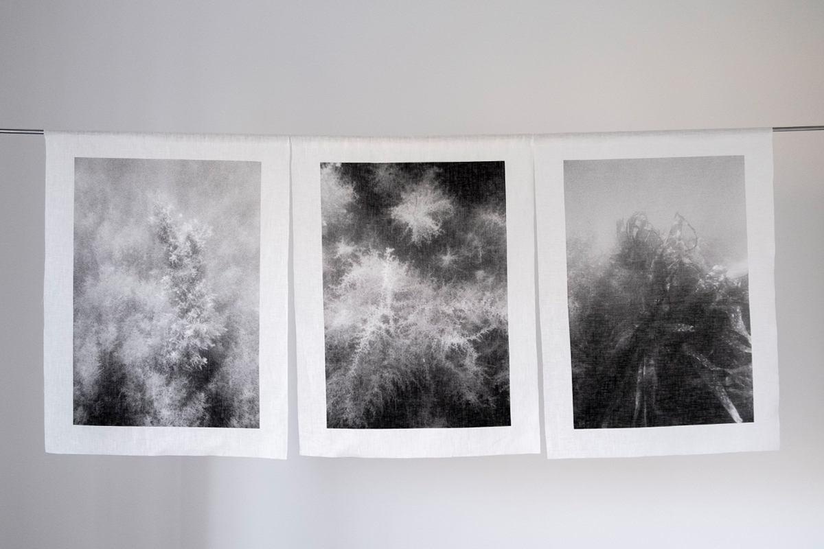 Analog underwater photography 30x45cm  Linen