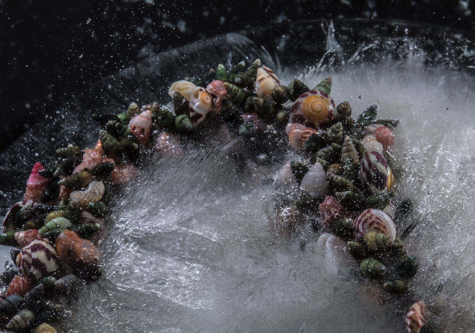 PHOTOGRAPHY BY RAF STUDIO FOR HEIMAT-ATLANTICA