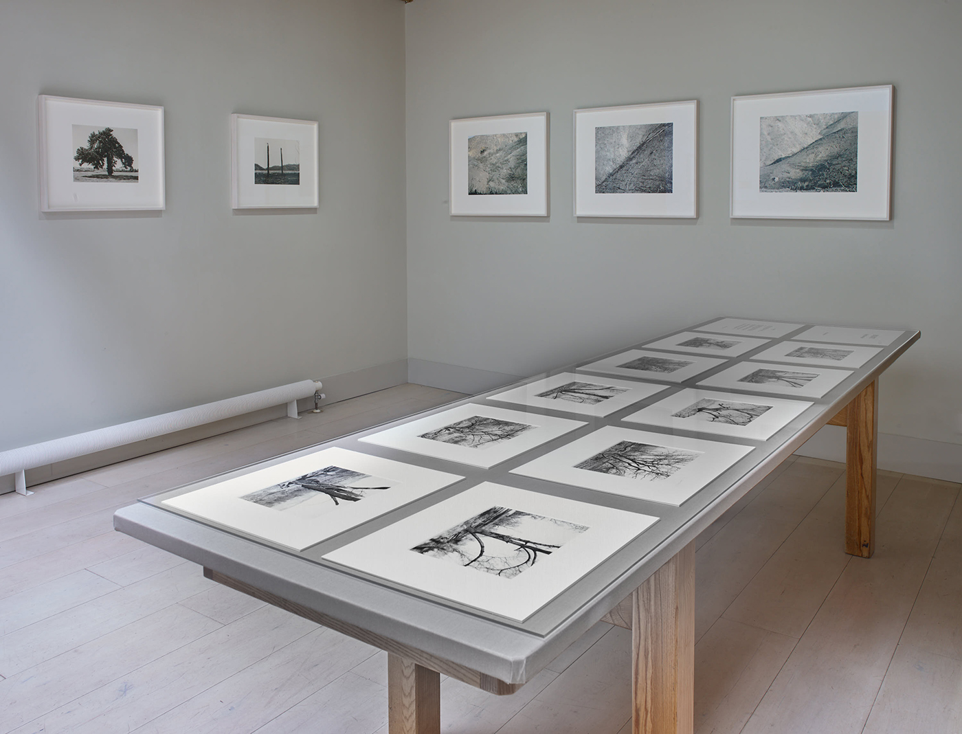 Installation View Mark Ruwedel: Inland - Haunted by the Desert Photo: Stephen White and Co