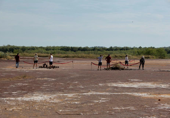 Ian Hance’s installation Signals from the Frontier, Leanyer Swamp