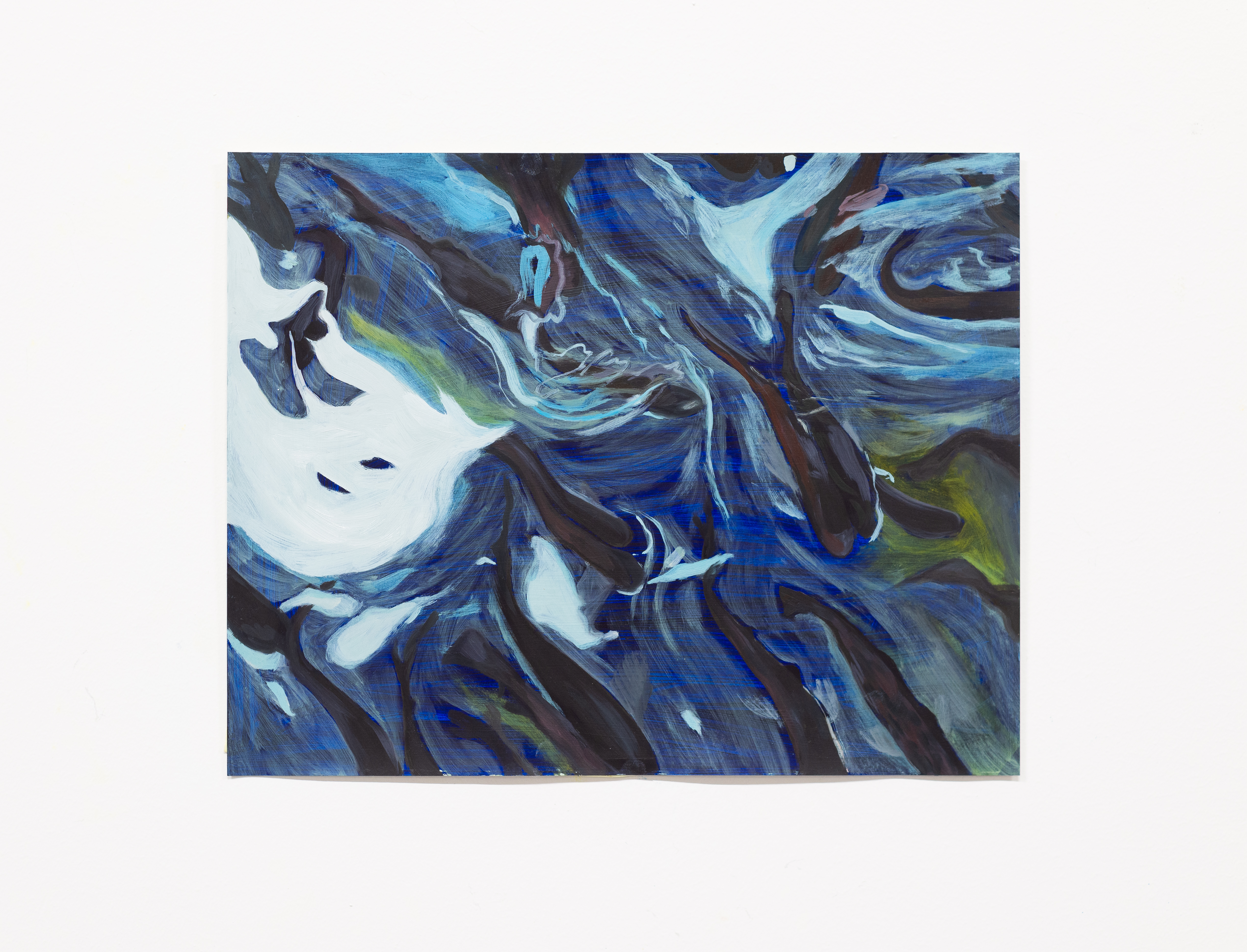 fish swimming in tank