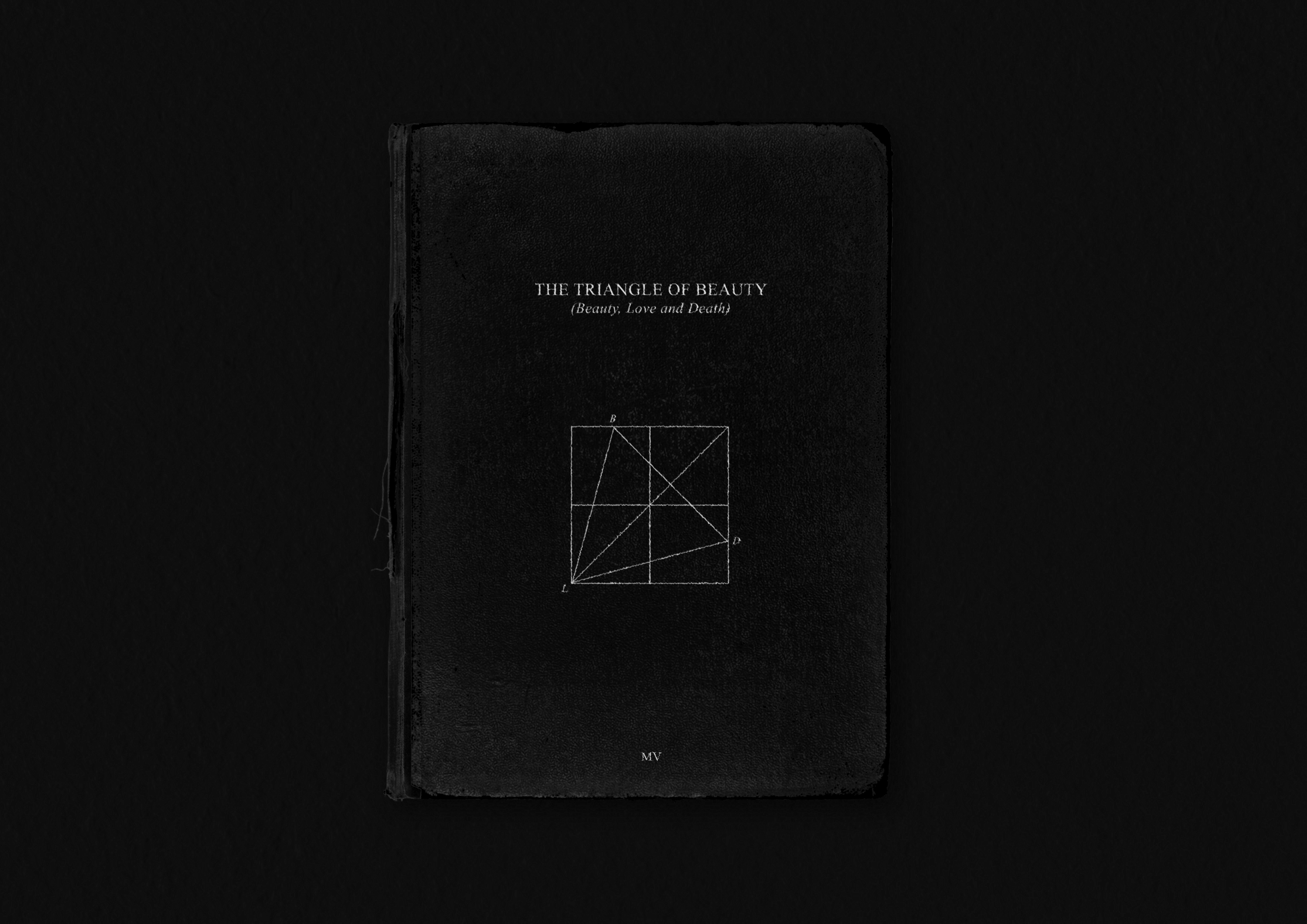 graphiste chambéry savoie livre