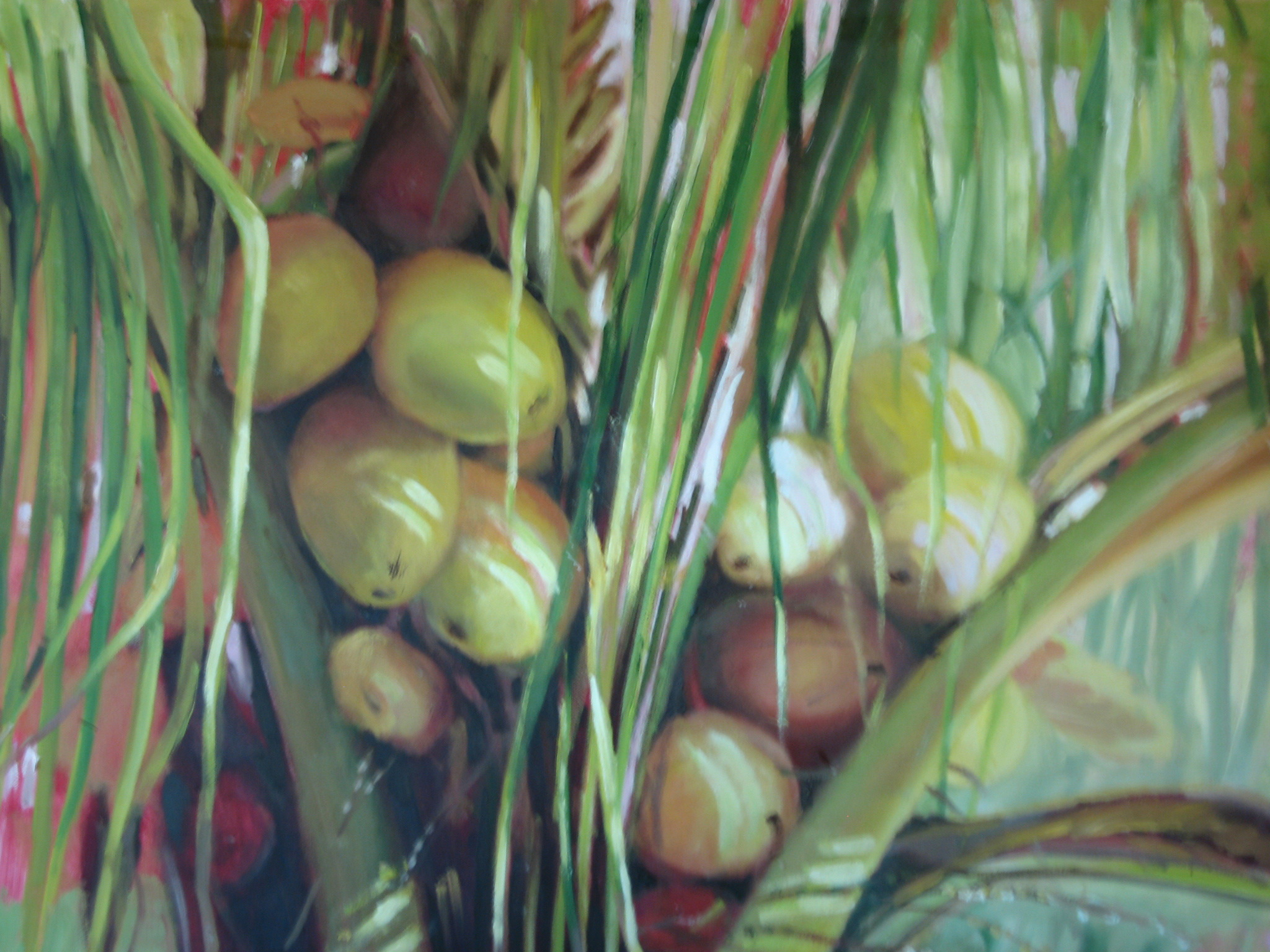 Coconuts in the Breeze, Honduras | 24" x 30" | Oil