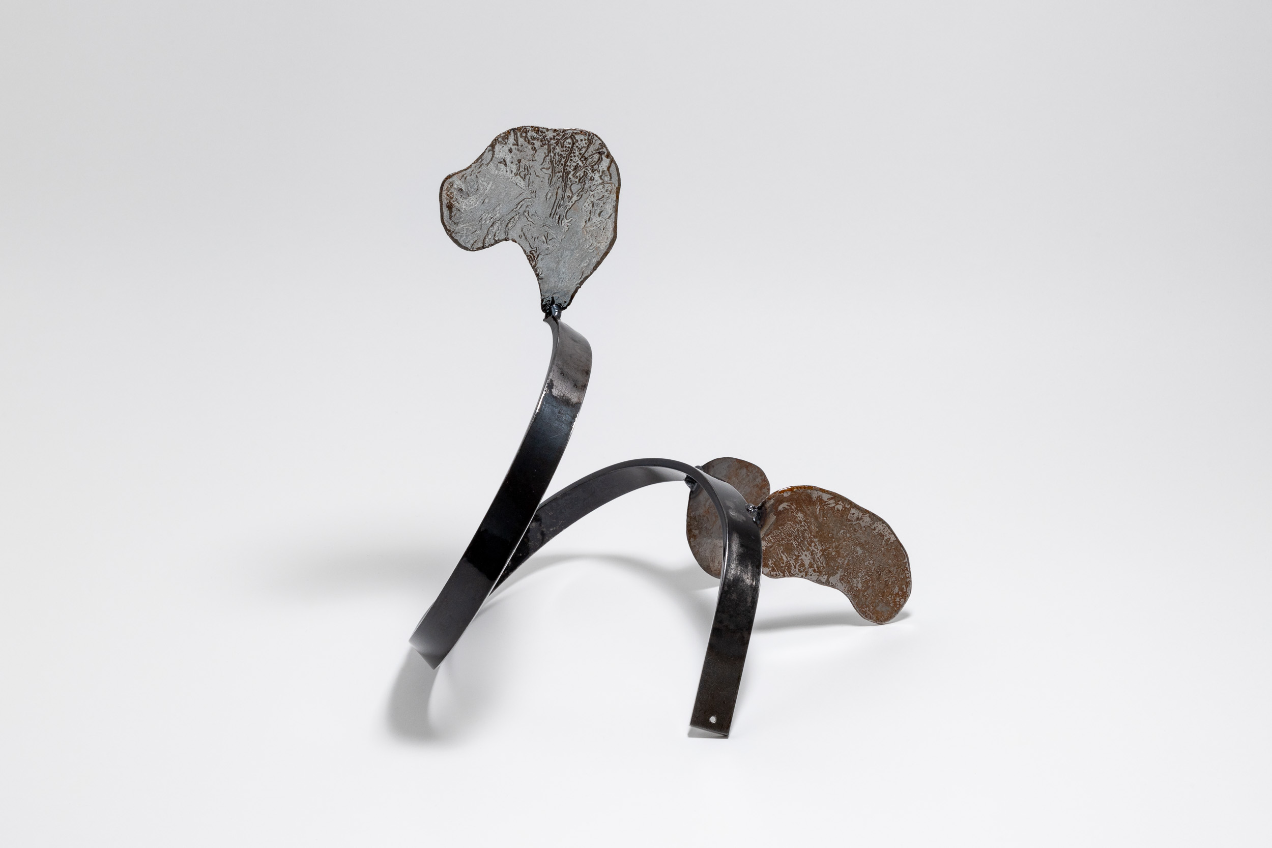 Xenophora 10/13, 29.5 x 27 x 25cm