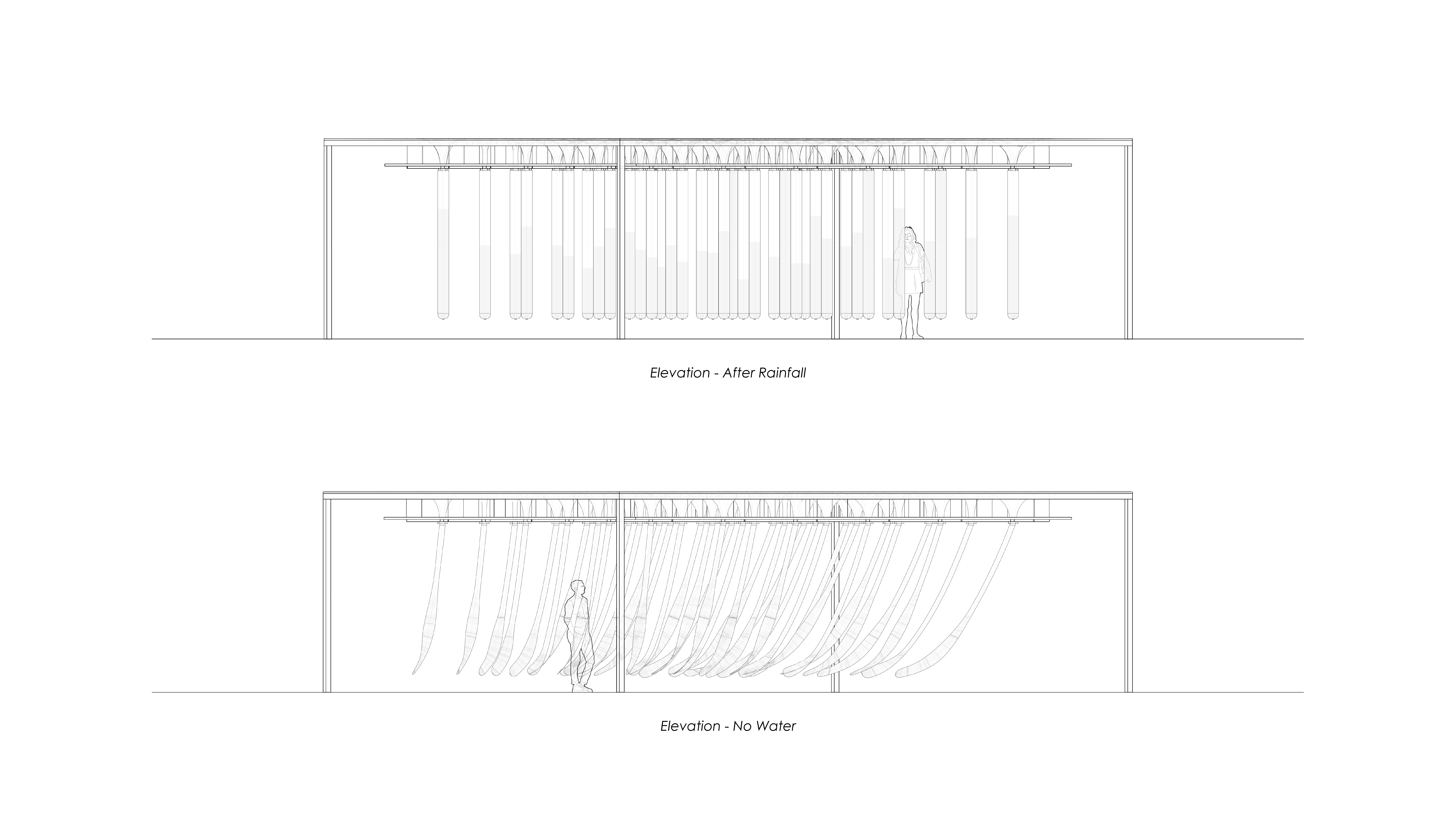 Elevation