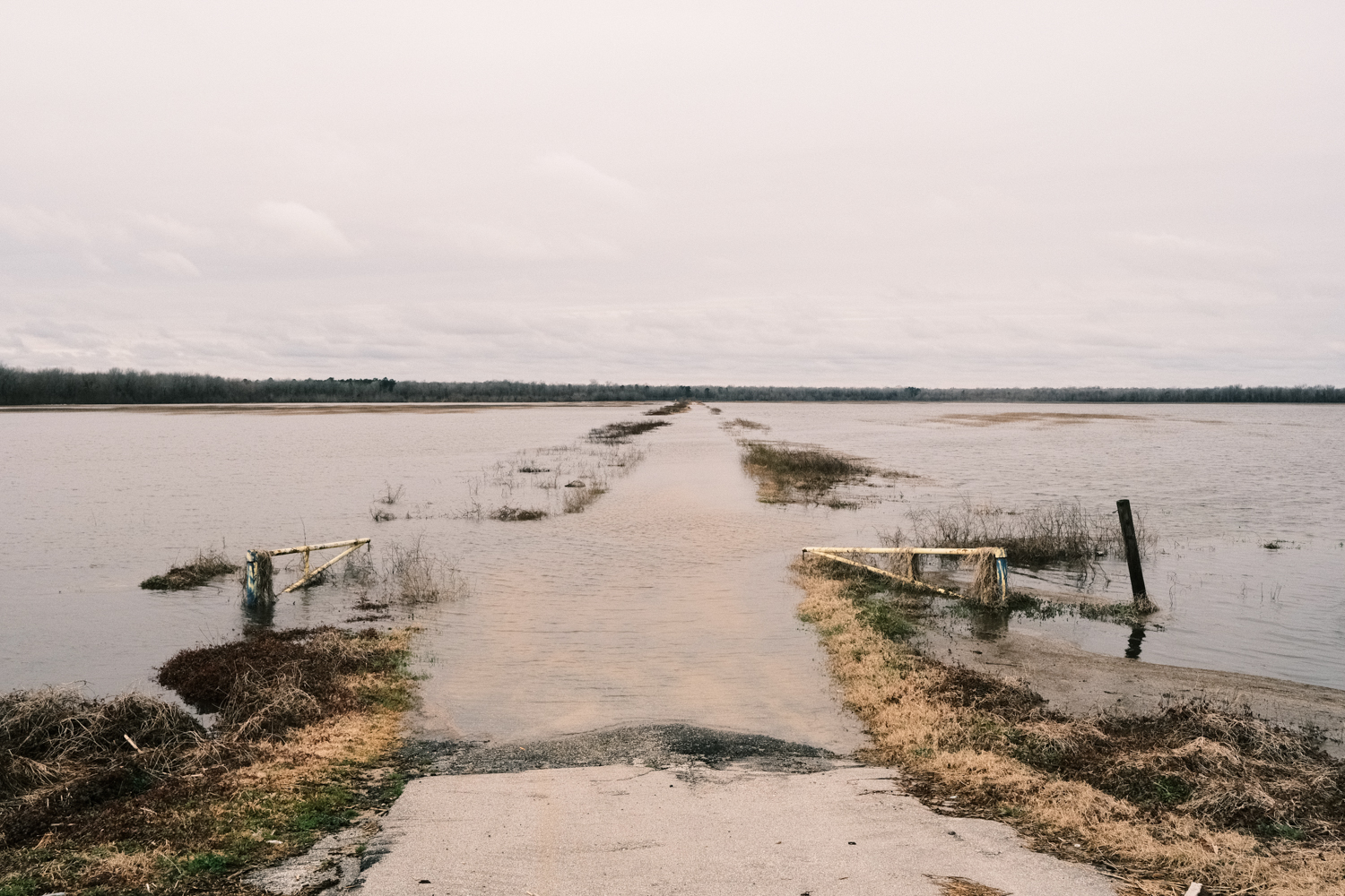 Flooded Farm, Clarendon County, SC - February 2021