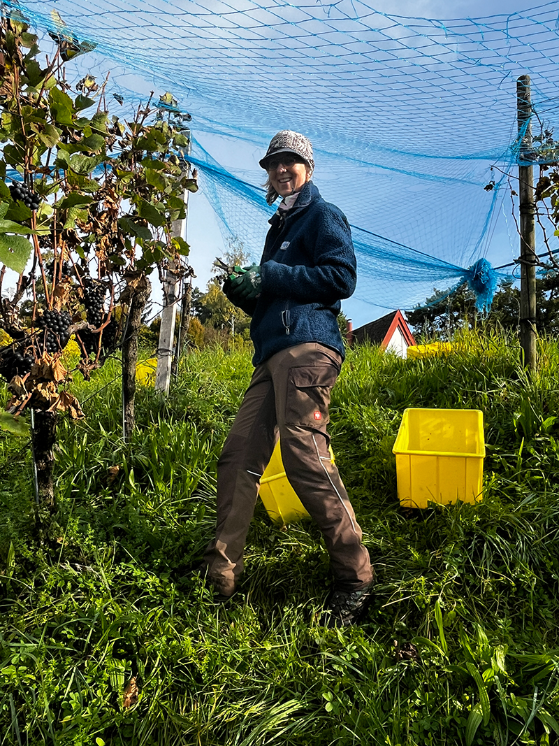 Monica Hasler f&uuml;hrt das Weingut zusammen mit ihrem Partner &ndash; der nachhaltige Weinbau ist Herzensangelegenheit.