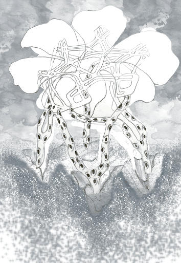 Allied Studies | Architectures of Exfoliation