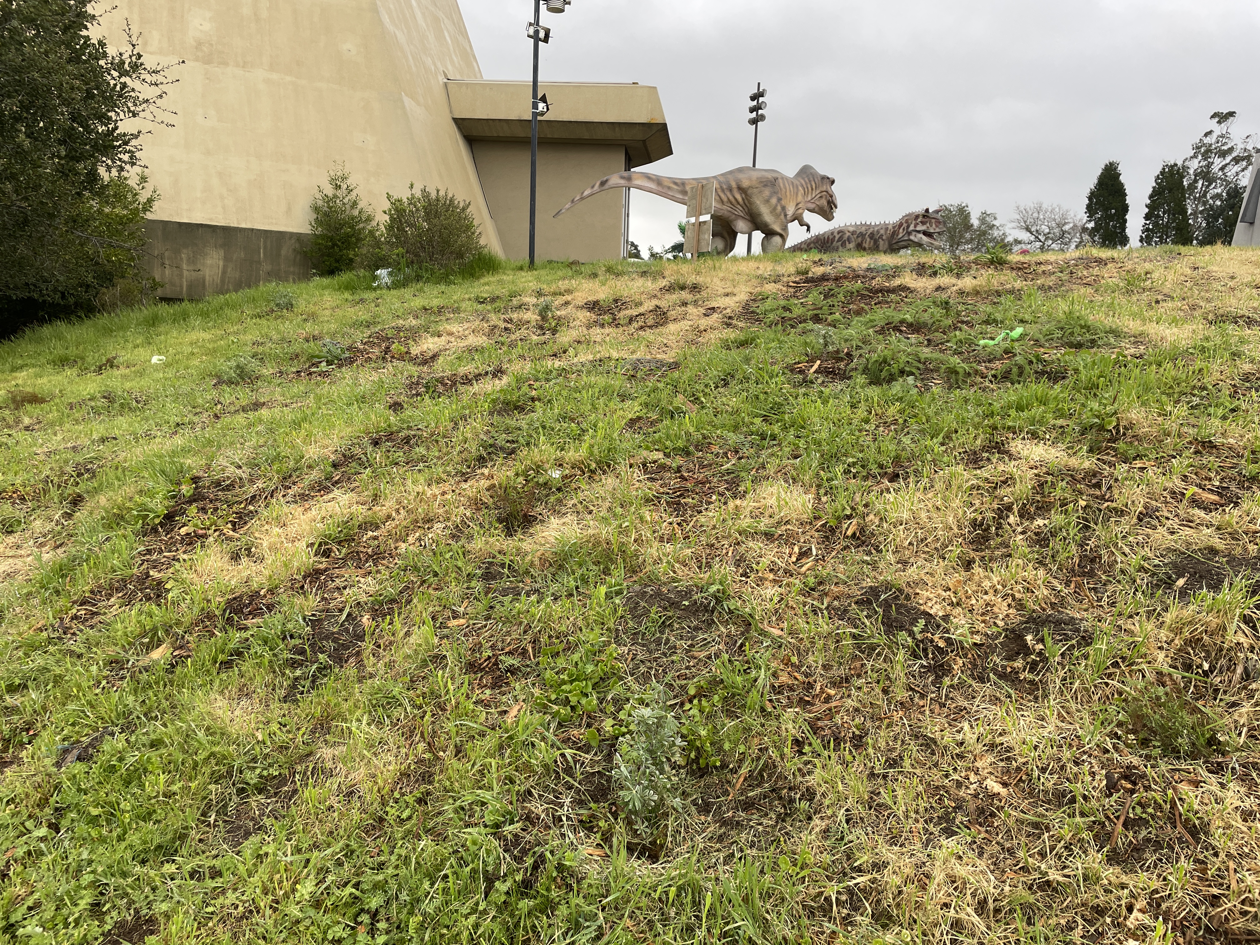 Still a bit patchy due to inconsistent application