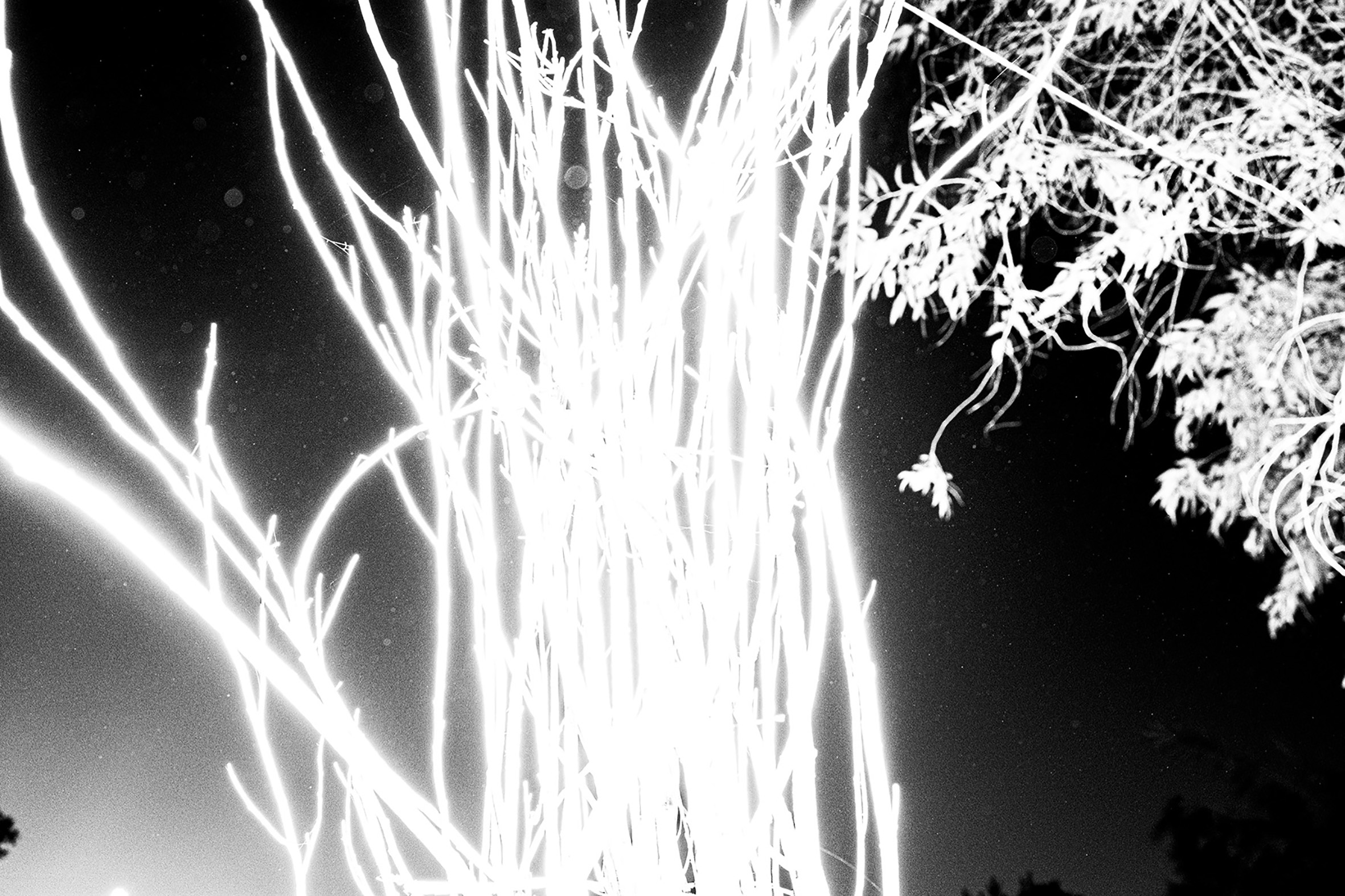 Entre la noche y la noche. Proyecto personal