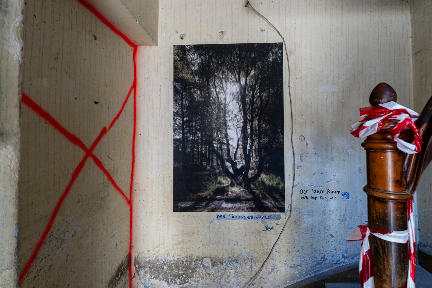 Bild 1 zu der Sommernachtsbaum: Gro&szlig;formatige Fotografie eines Baumes auf einer Lichtung. Der Baum hat mehrere Ver&auml;stelungen. Silhouetten von Frauen in wei&szlig;en Kleidern bewegen sich im Baum. 