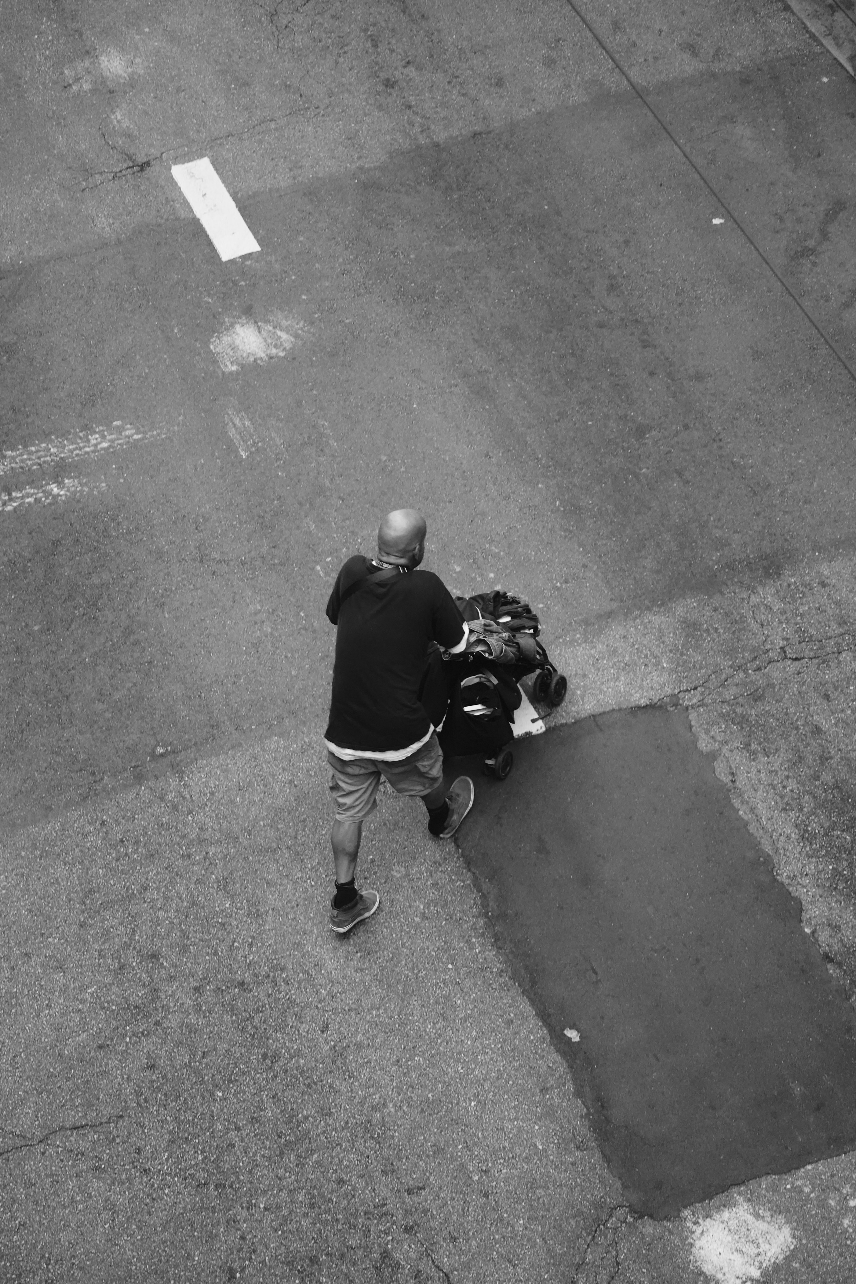 In San Francisco, stoplights and crosswalks are generally for reference only.