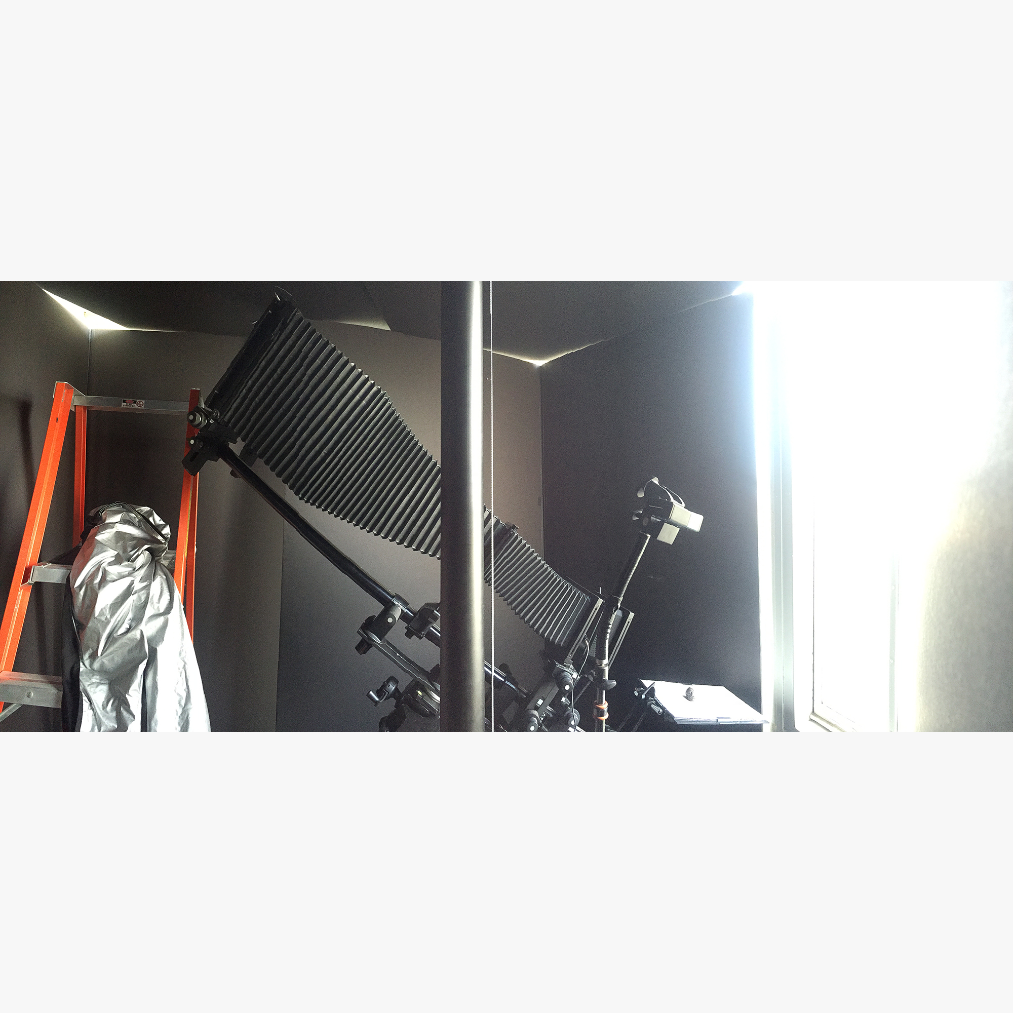 4/5In studio, SF, 2016