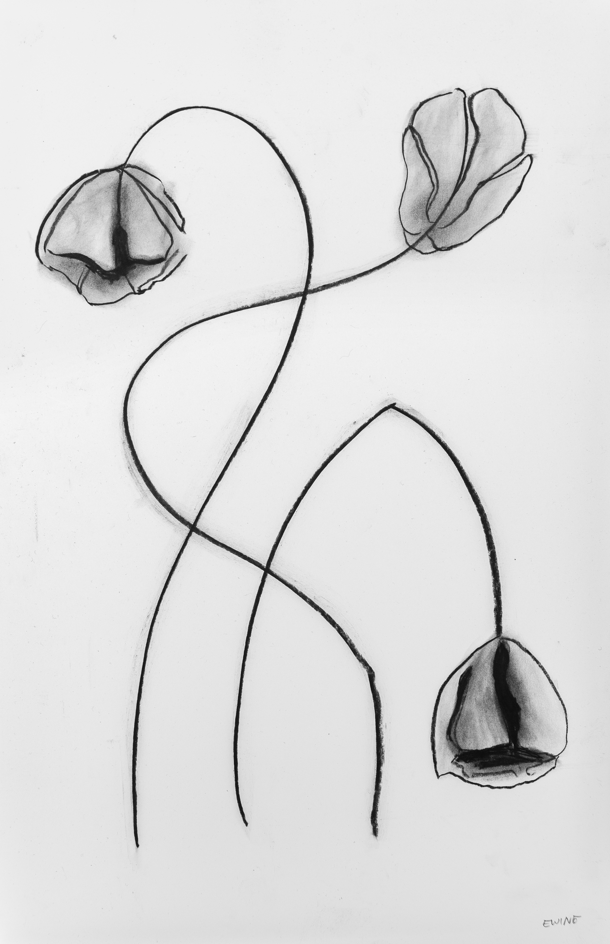 Floral Sketch 02 — Sold