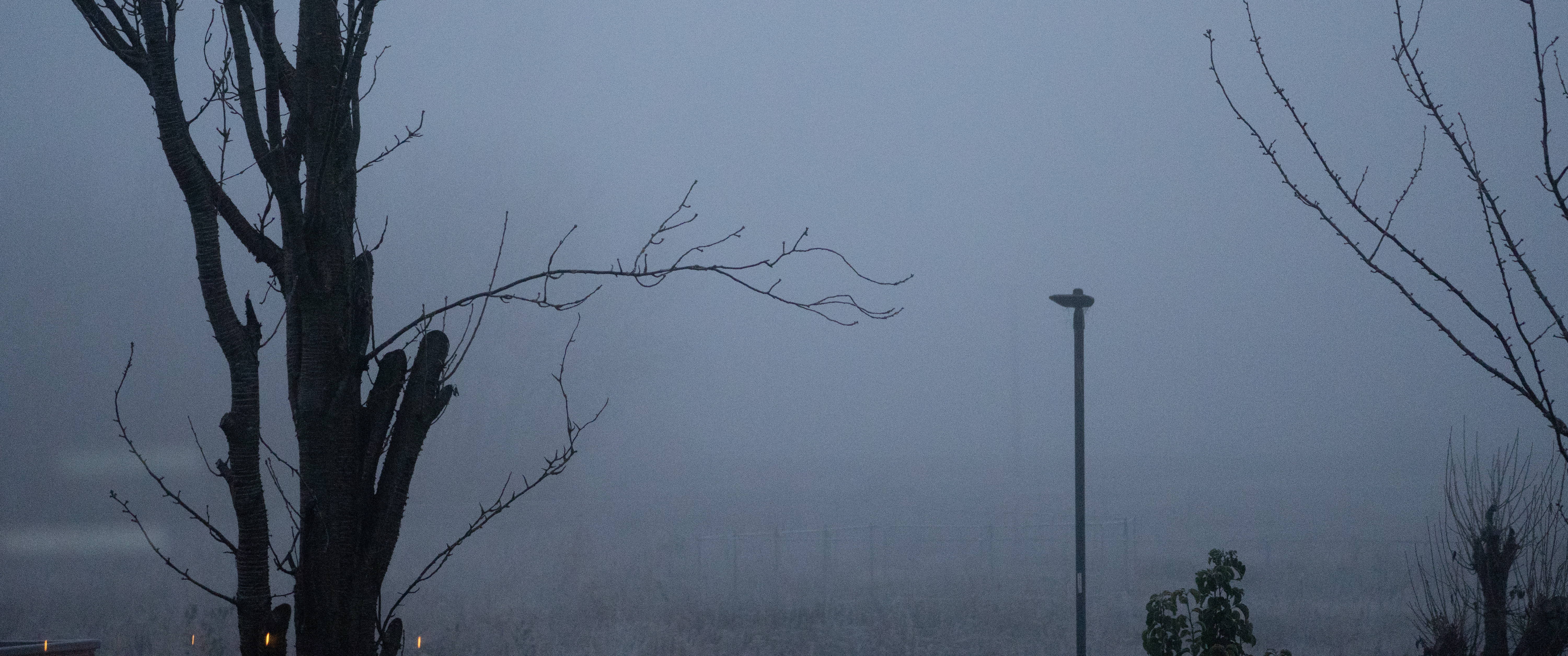 SONY A6400 &times; SEL70350G &mdash; IMG