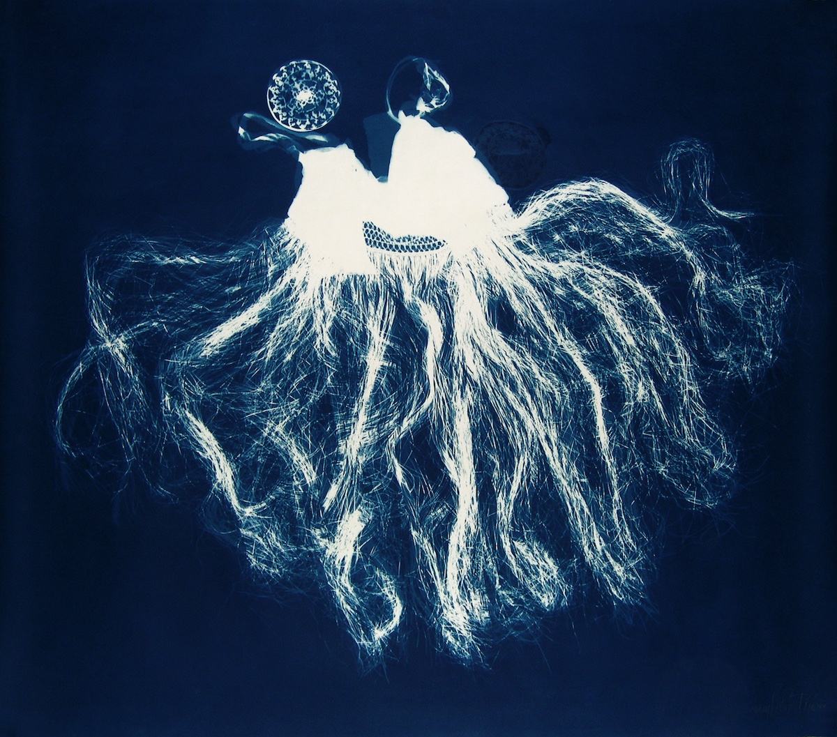 © Nancy WILSON PAJICBrahma 22004