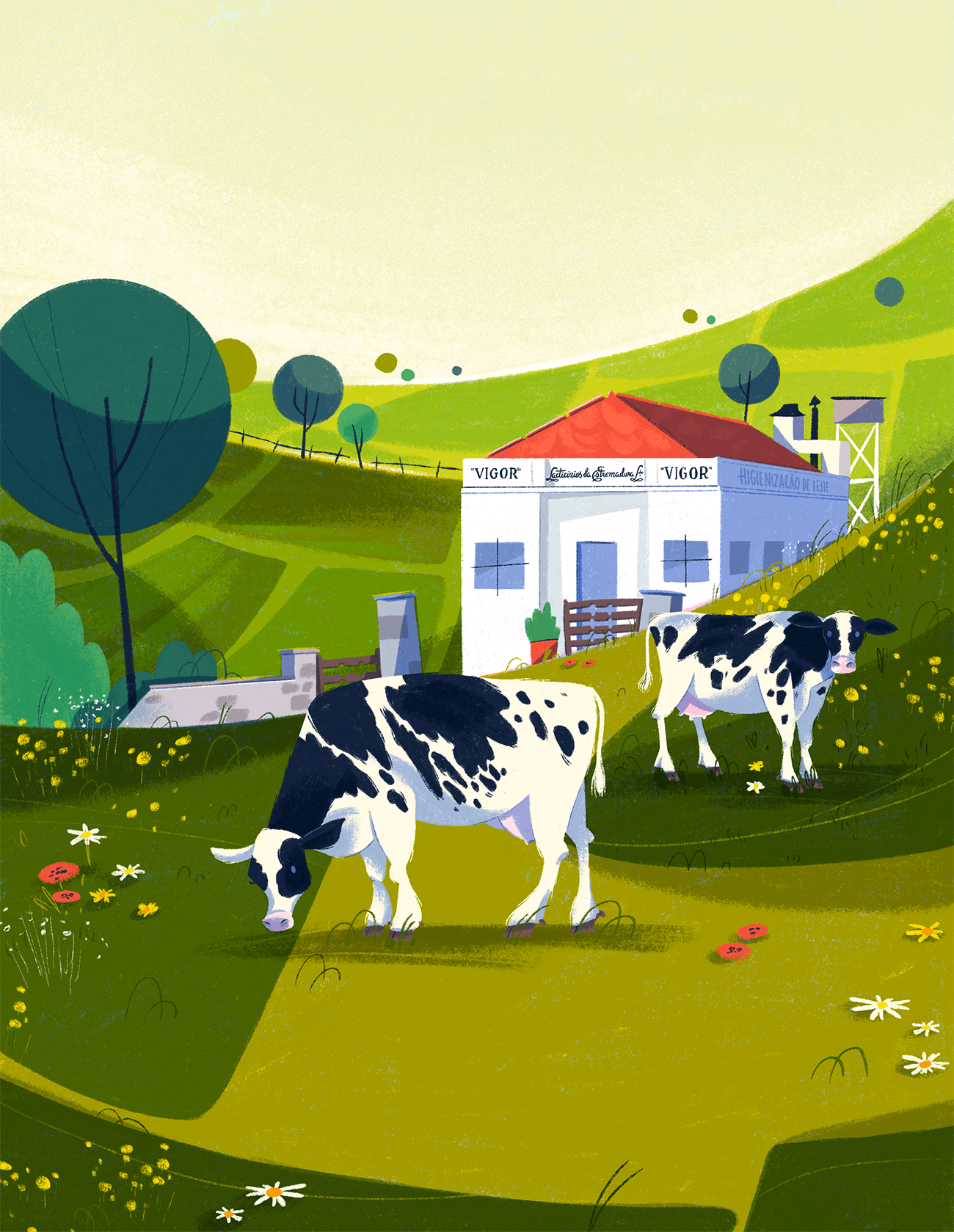 A cow eating grass with a field and a house in the background