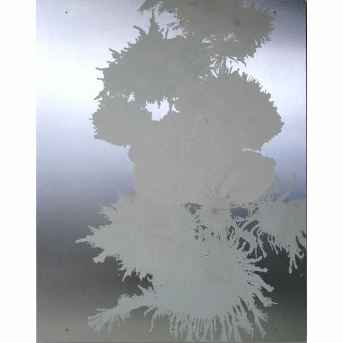 Two, 2002, oil on aluminum, 60x48 in