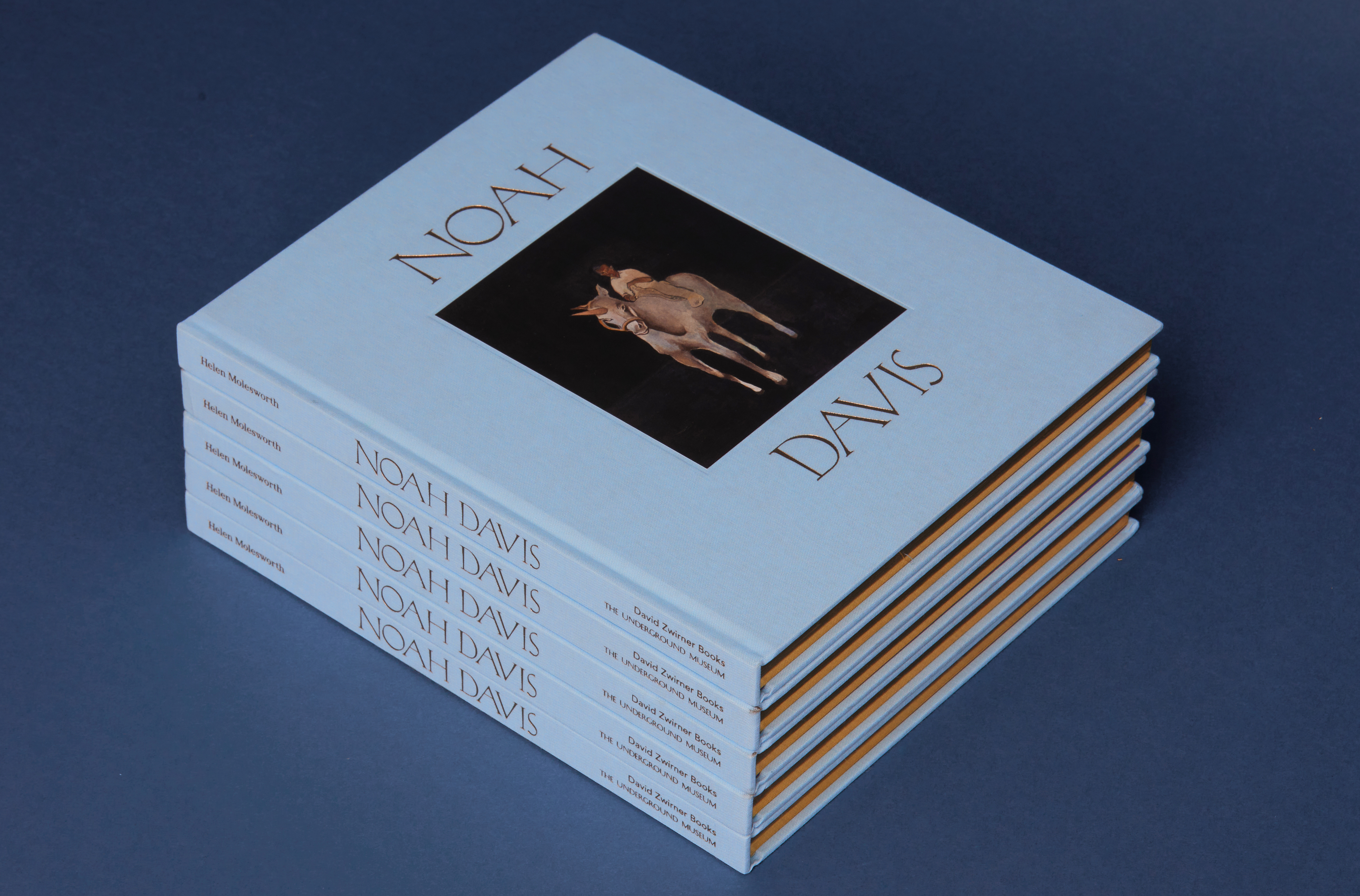 Noah Davis, Zwirner Books, 2015