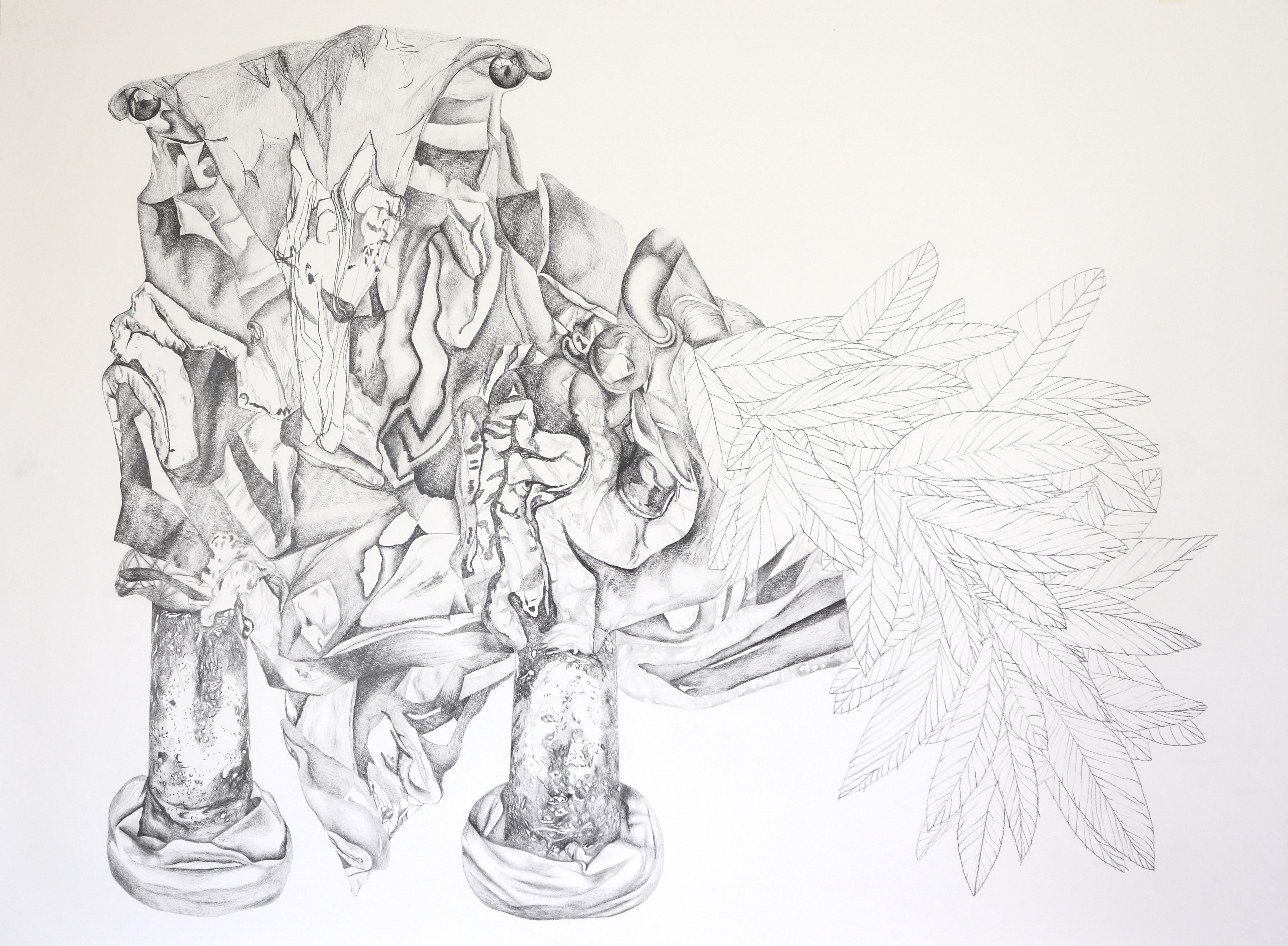 Bird in Parts, graphite pencil on paper, 90 x 62cm, 2025