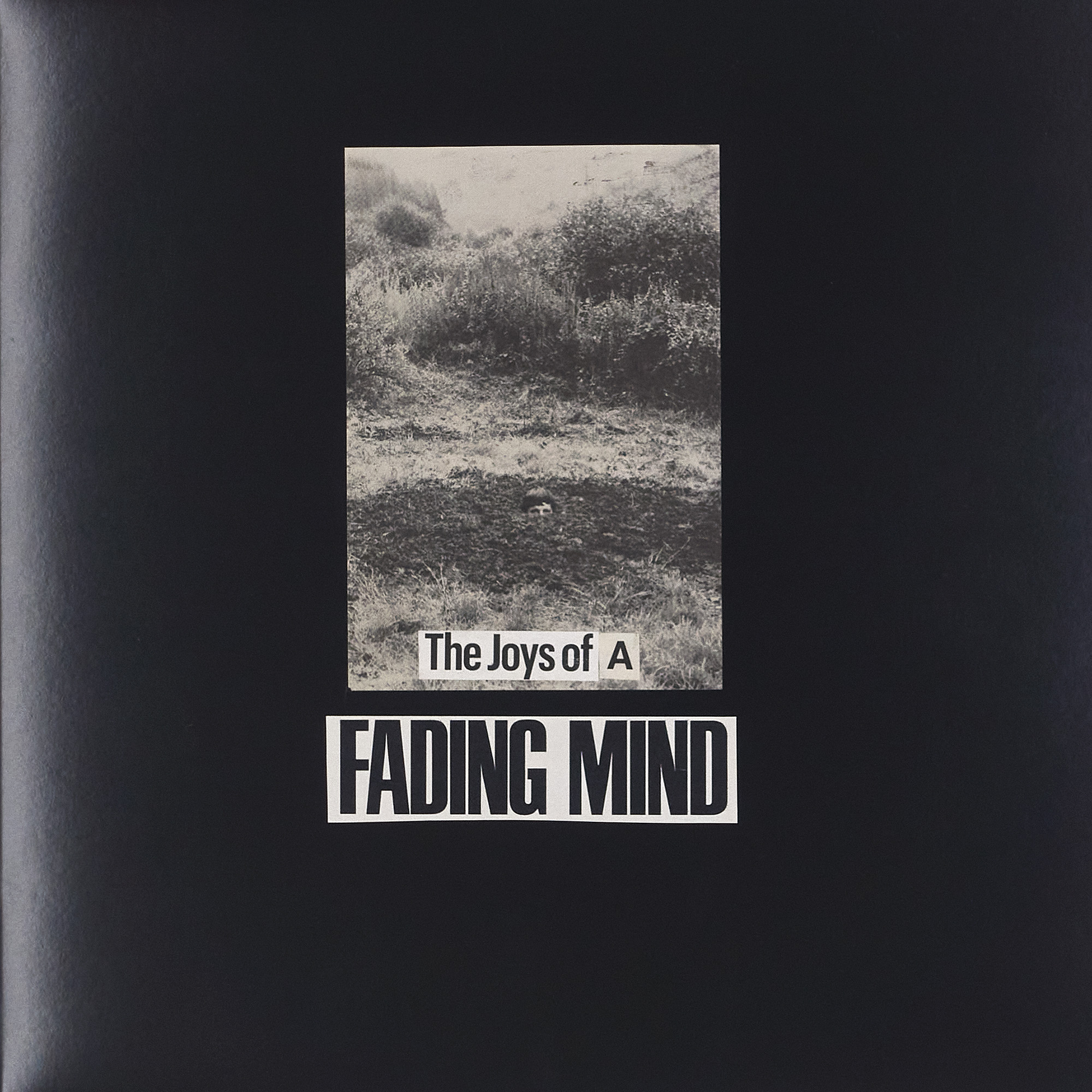 (2024) 12.25" x 12.25"