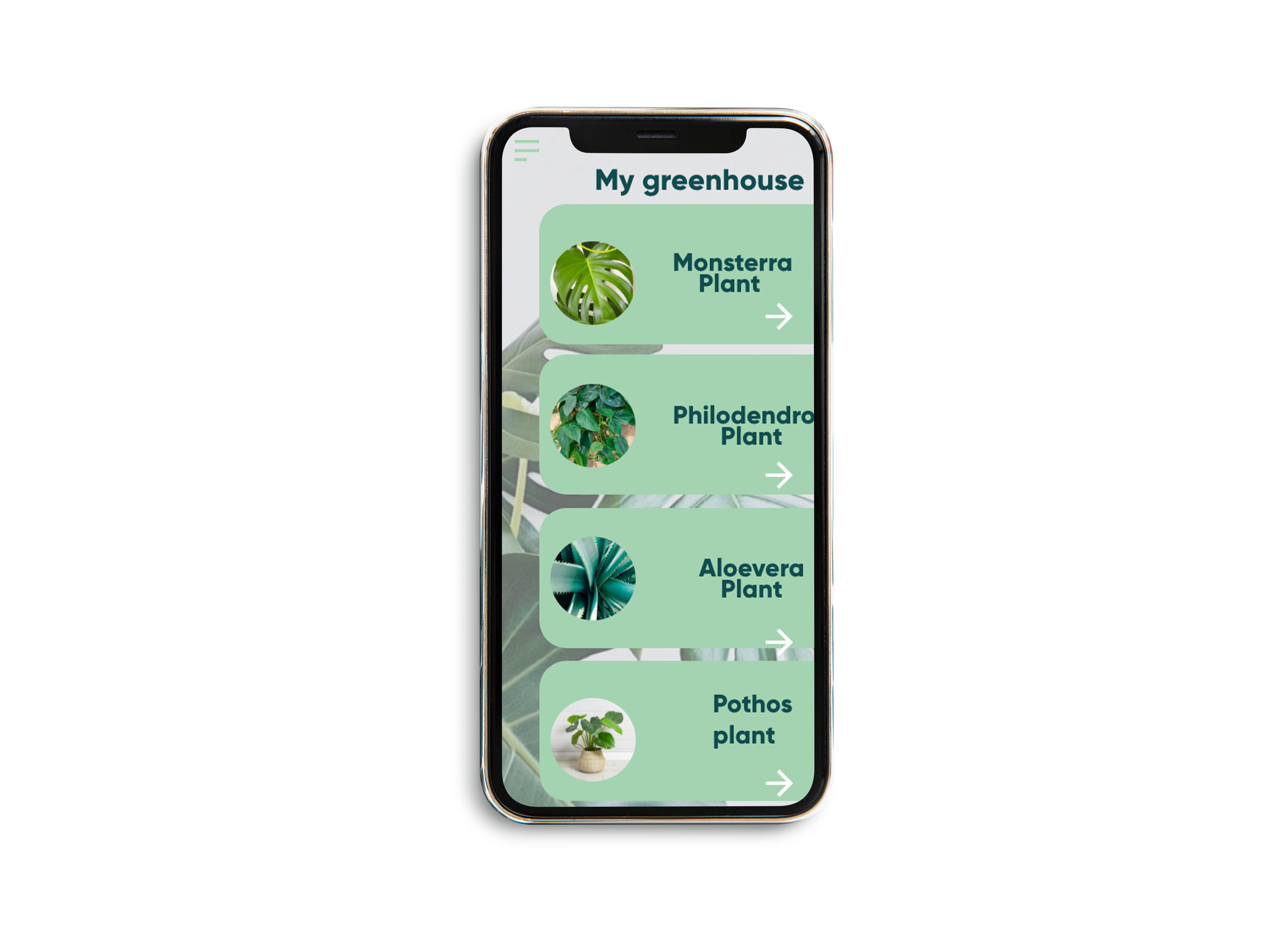 GREENHOUSE MY GREENHOUSE PAGE