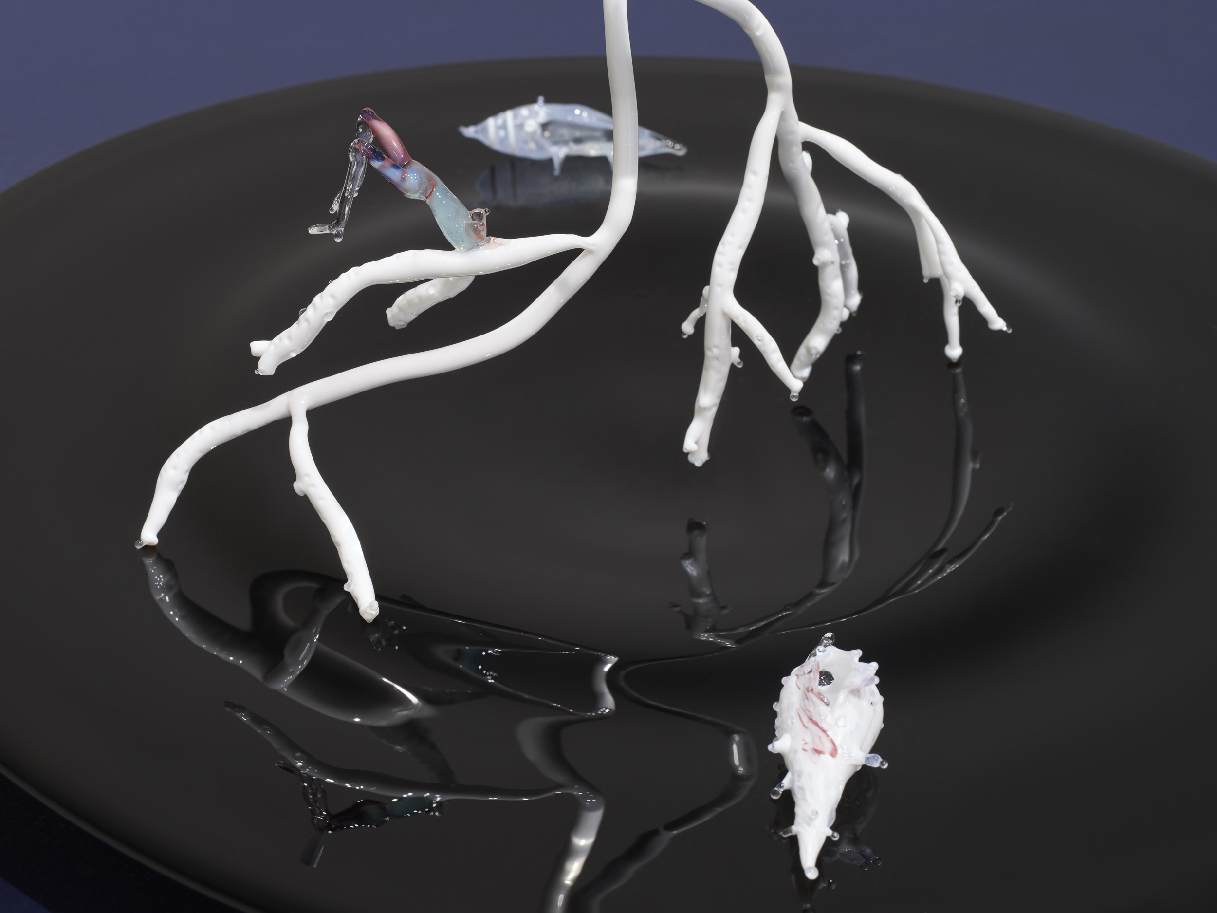 Goldie Poblador, Porites Bleached Coral, 2025. Glass, scent, 17 x 20 x 19.5 inches. Scent by M Dougherty. Photo by Flaneurshan.studio