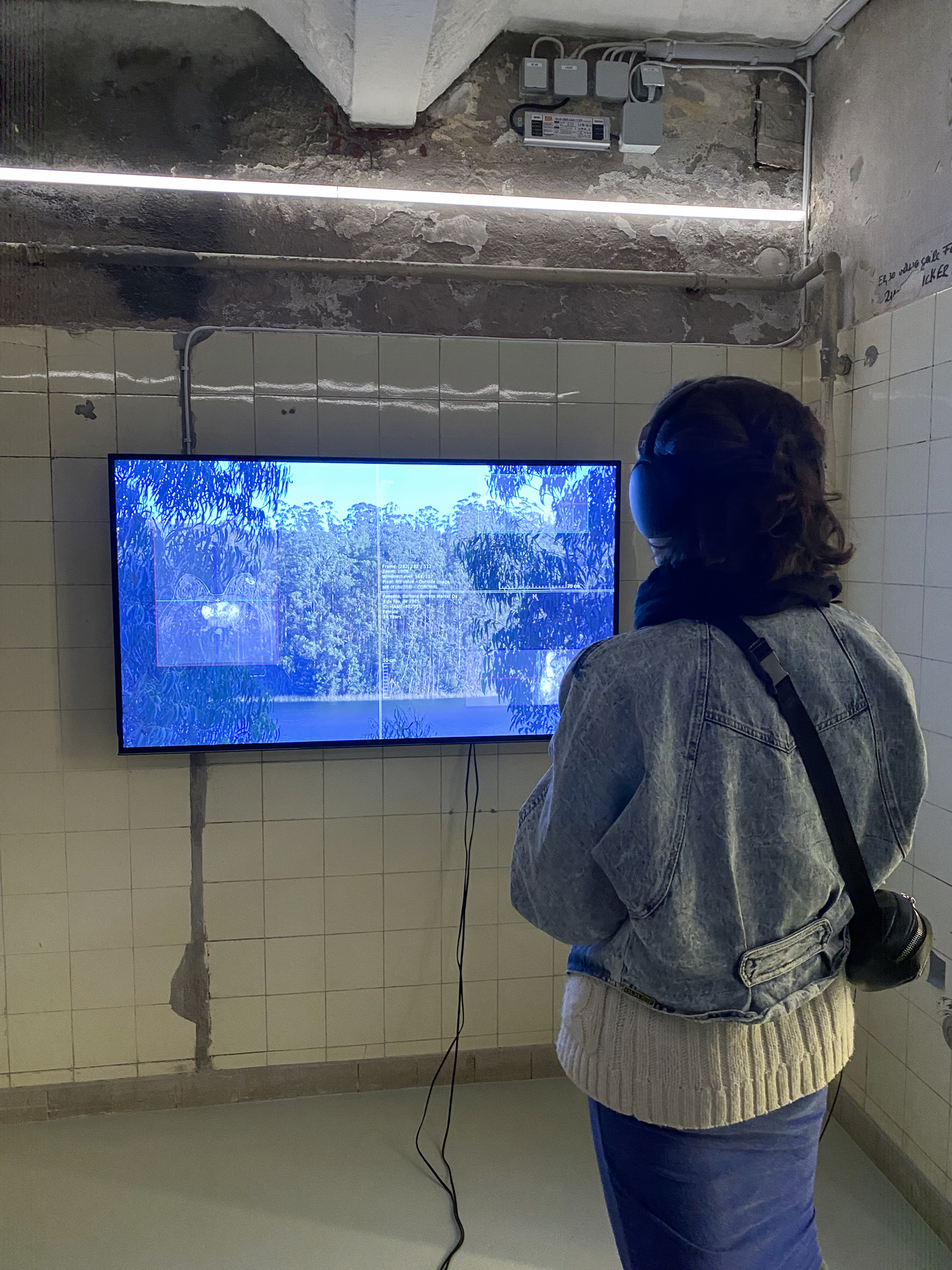 2021, 2 OR 3 FRAGMENTS OF HUMO SOBRE LOS HUMEDALES at the exhibition Fluide Realitäten at Kunstbrücke am Wildenbruch.