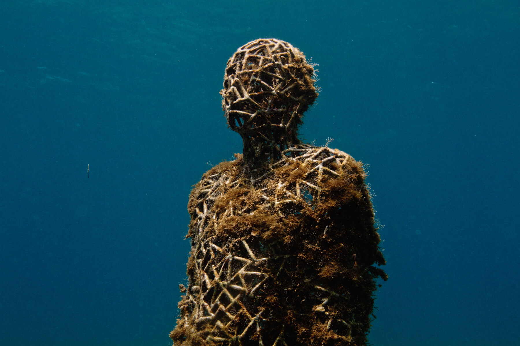 Jason deCaires Taylor