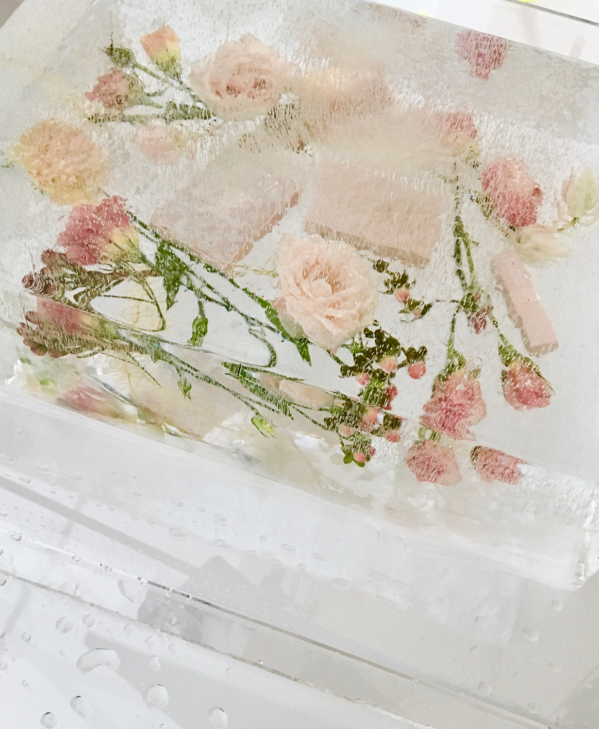 KMA stylist Sara Wacksman designs set for conceptual photo of pink flowers under glass plates with water droplets