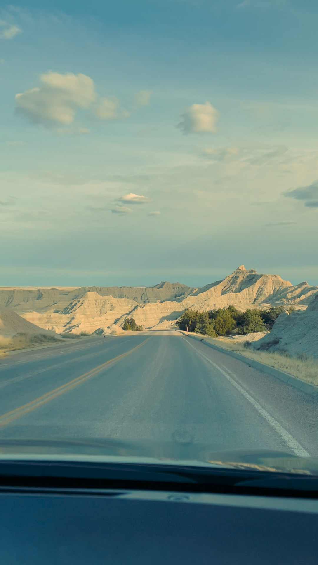 Teiger Foundation - In the Field, Racing Magpie