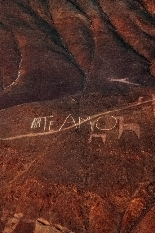 Medial Arts Biennale