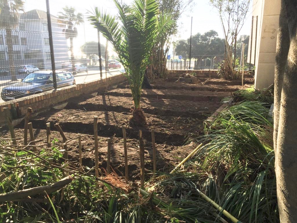 Edible garden after breaking ground