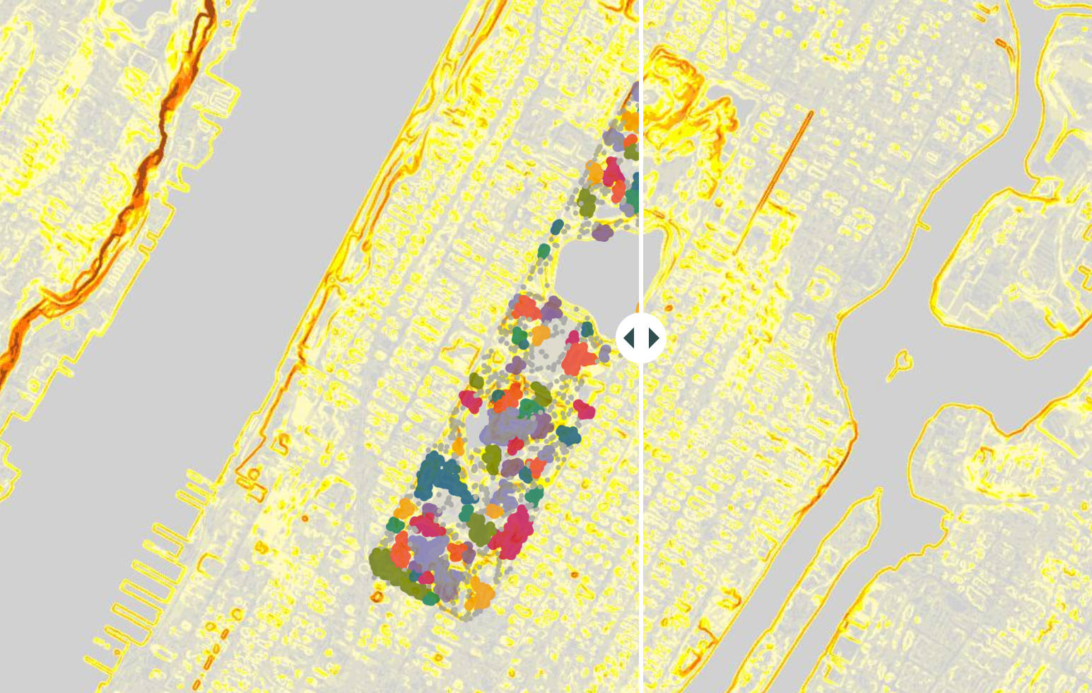 Squarriel Colony Analysis in Central Park, NY