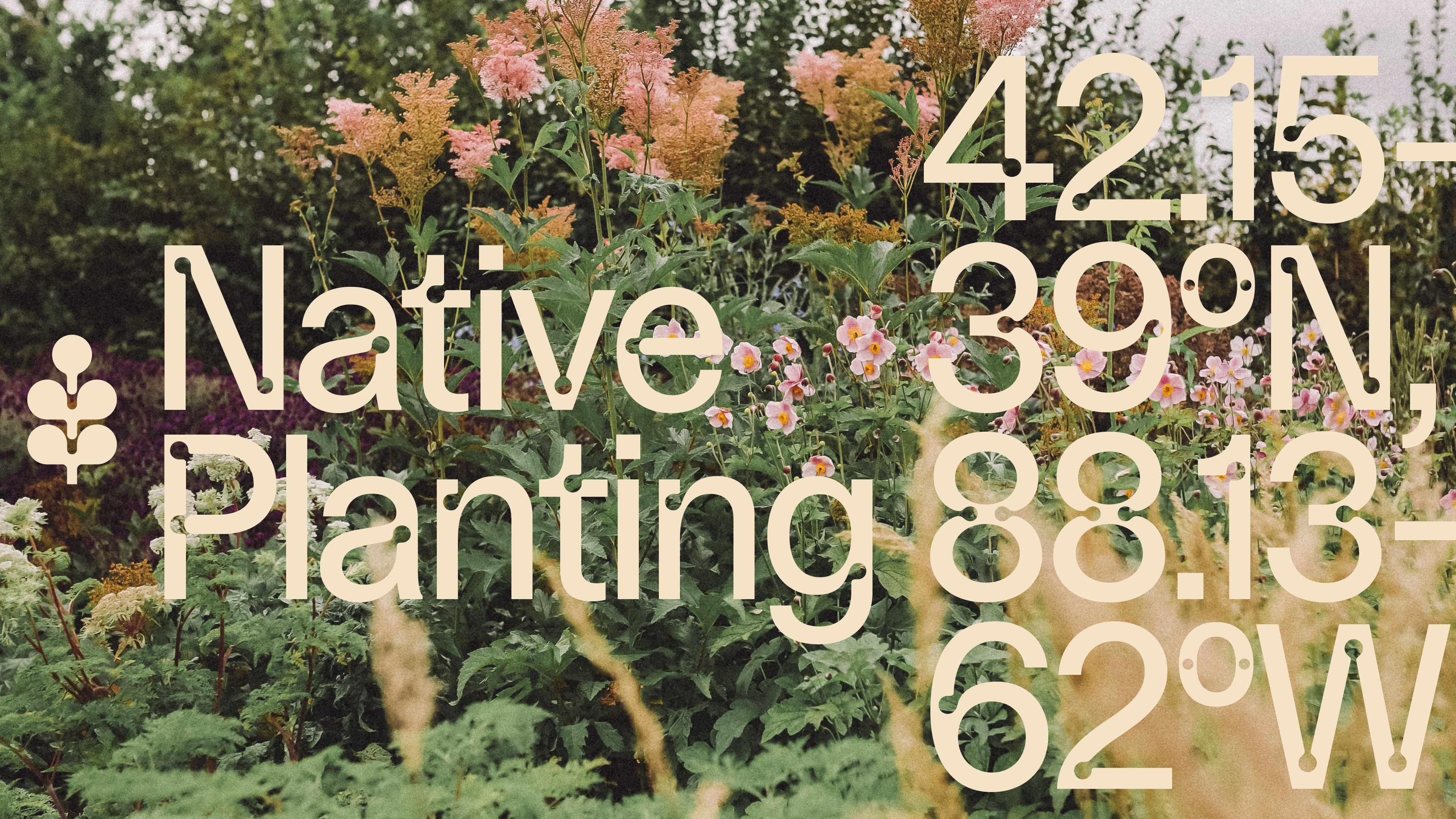 Created with Tyler Bengsten