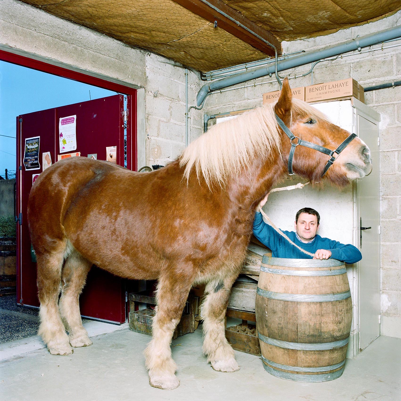 Benoît Lahaye, champagne Benoît Lahaye